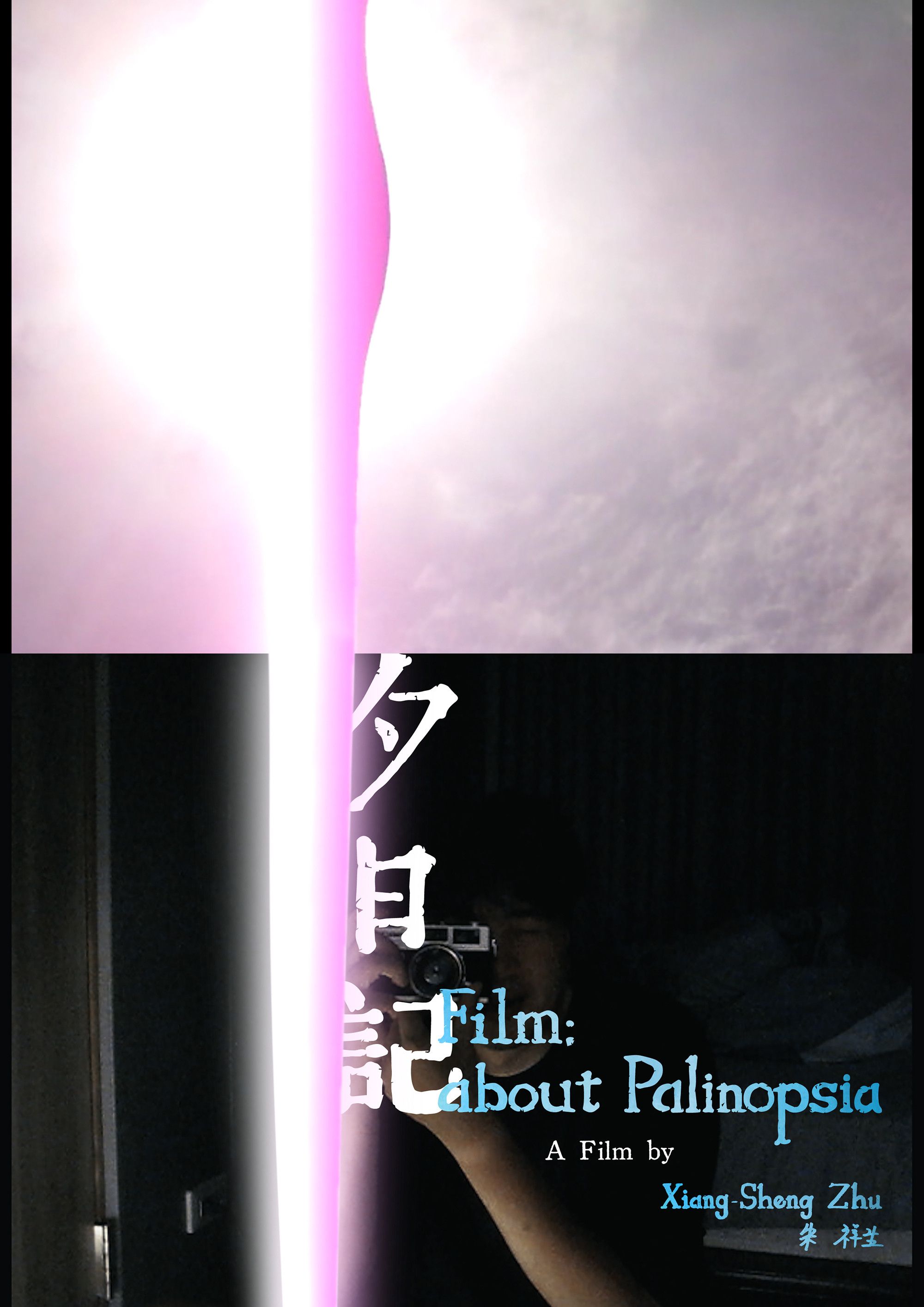 Poster for Film; about Palinopsia