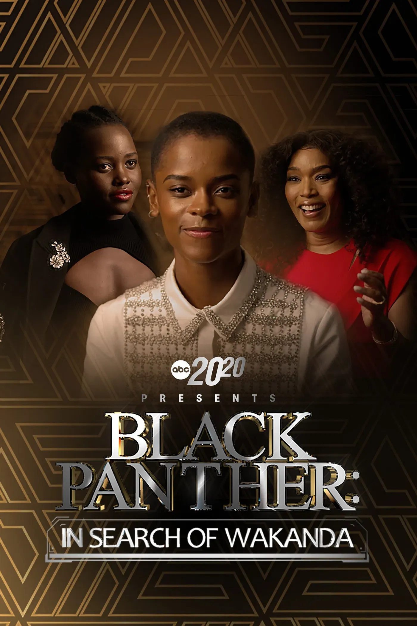Poster of the movie 20/20 Presents Black Panther: In Search of Wakanda