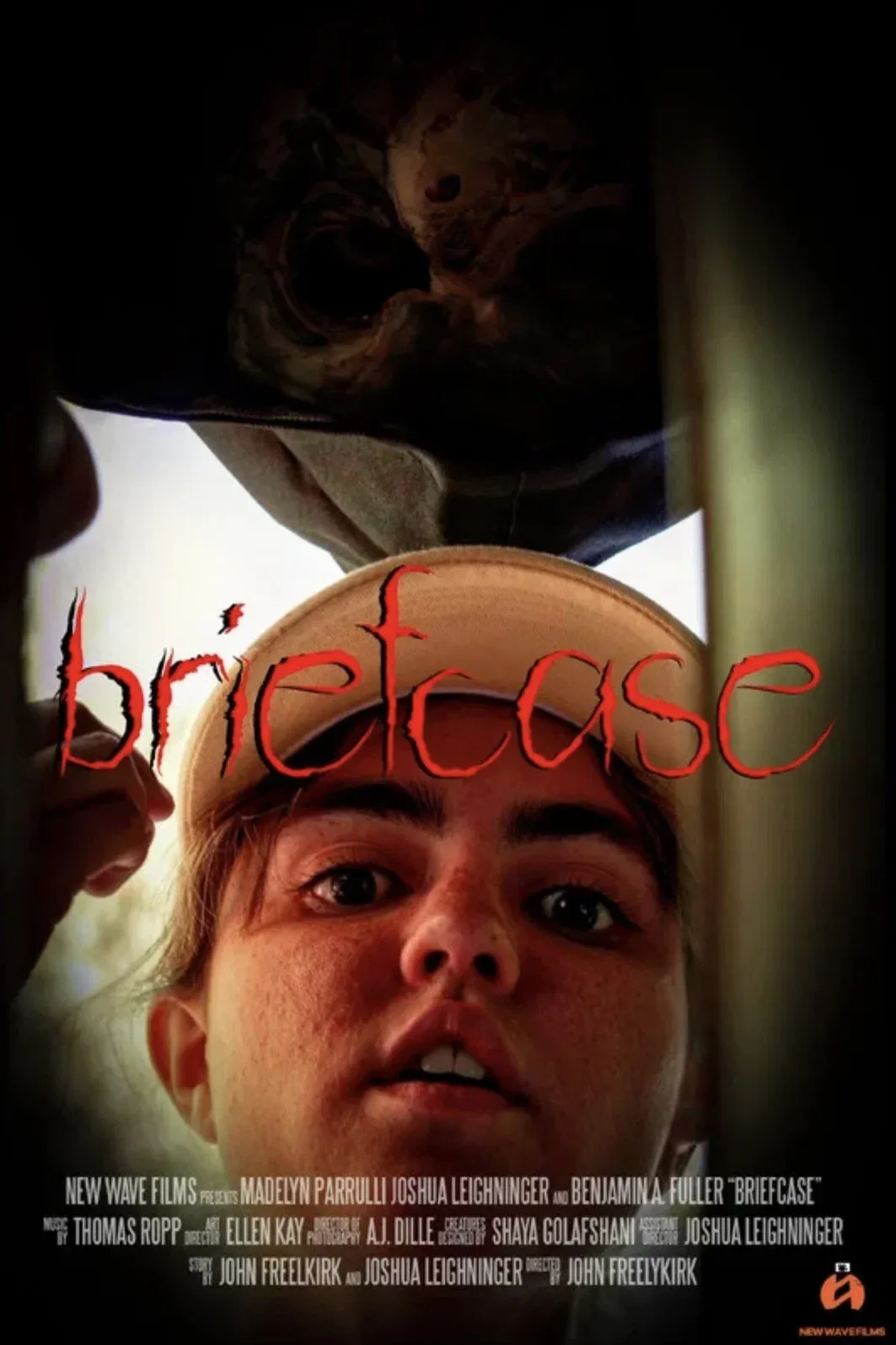 Poster for Briefcase