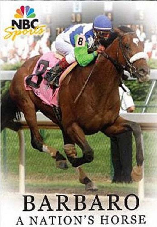 Poster of the movie Barbaro: A Nation's Horse