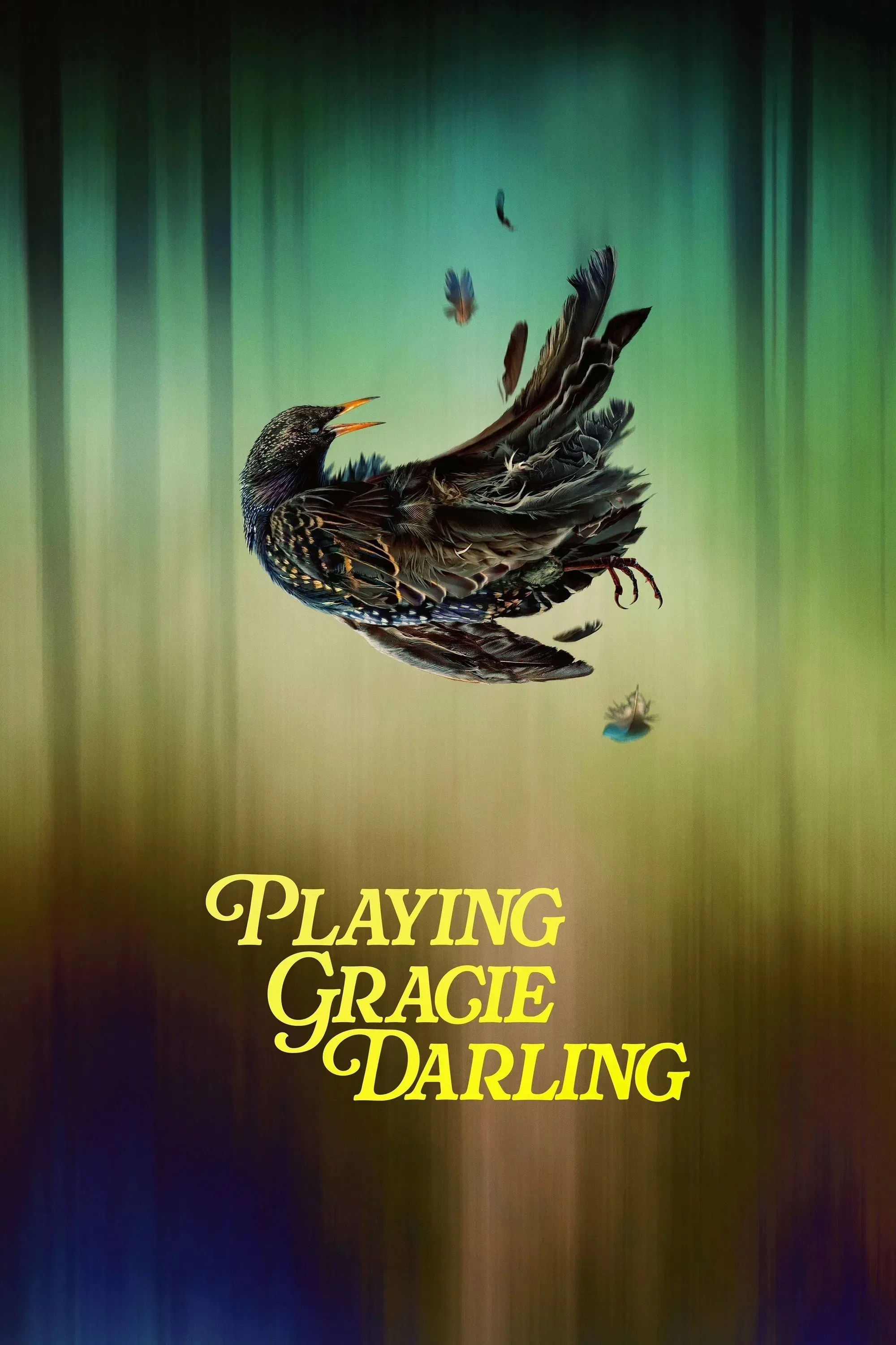 Poster of Playing Gracie Darling