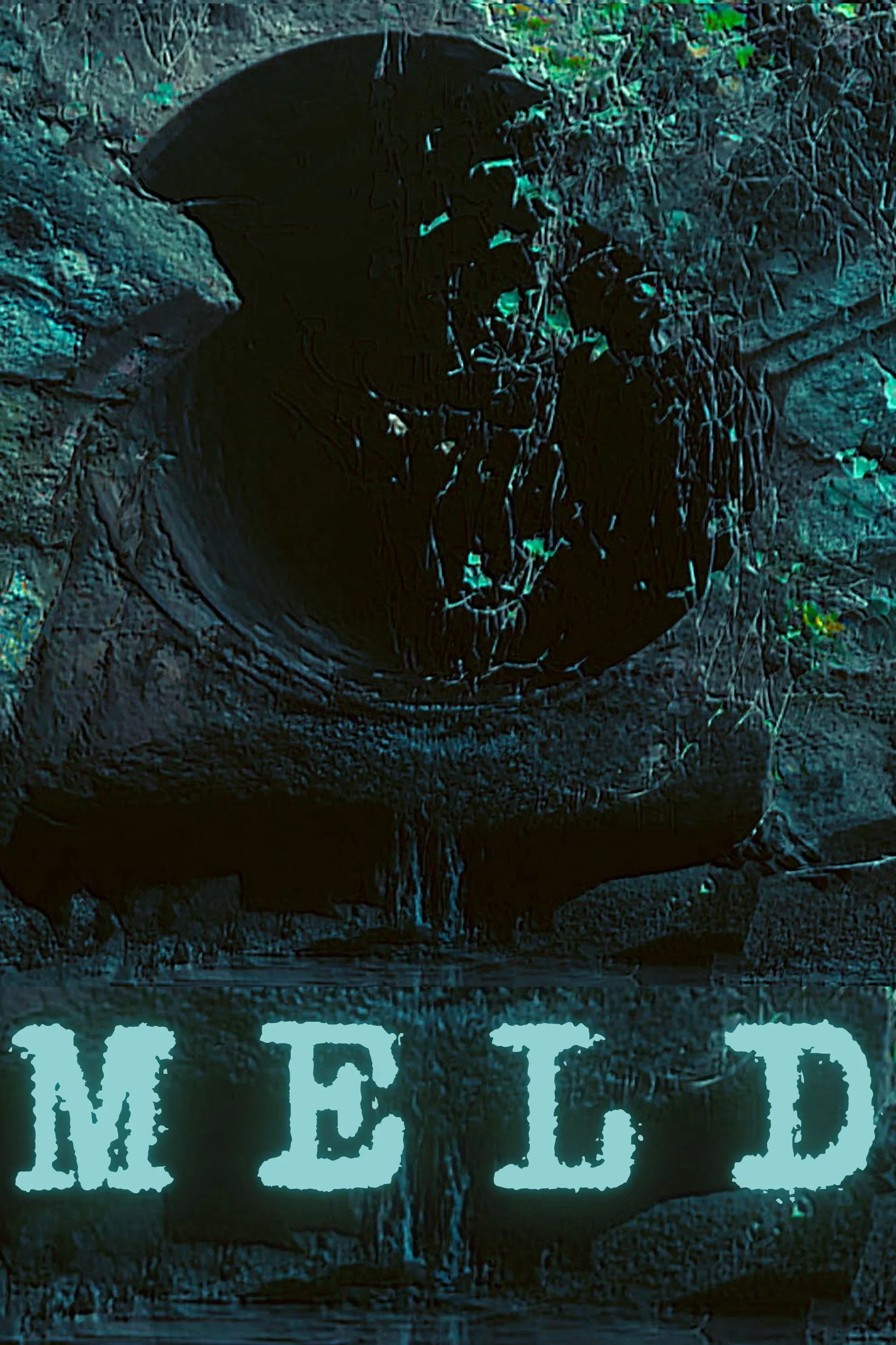 Poster for Meld