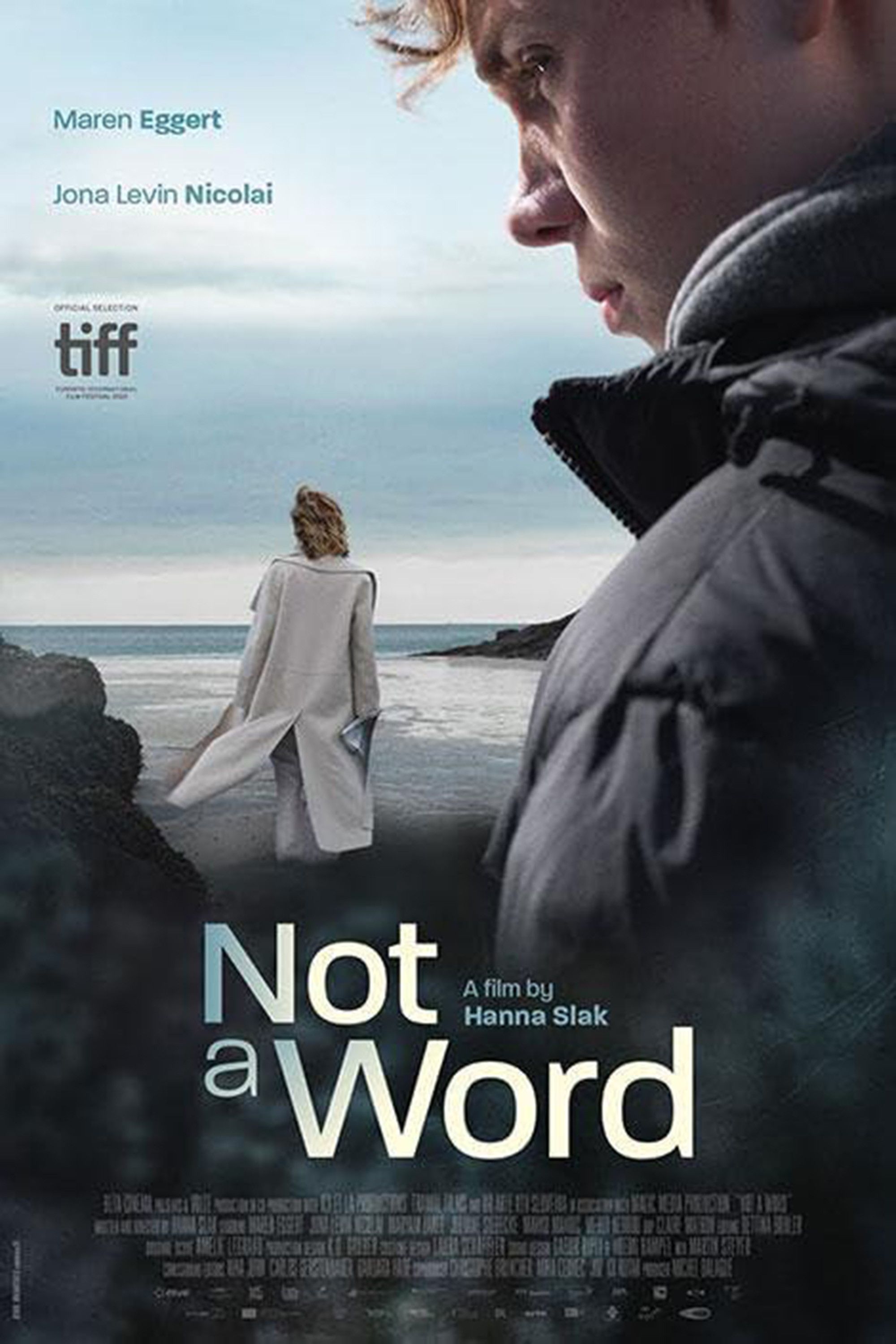 Poster of the movie Not a Word