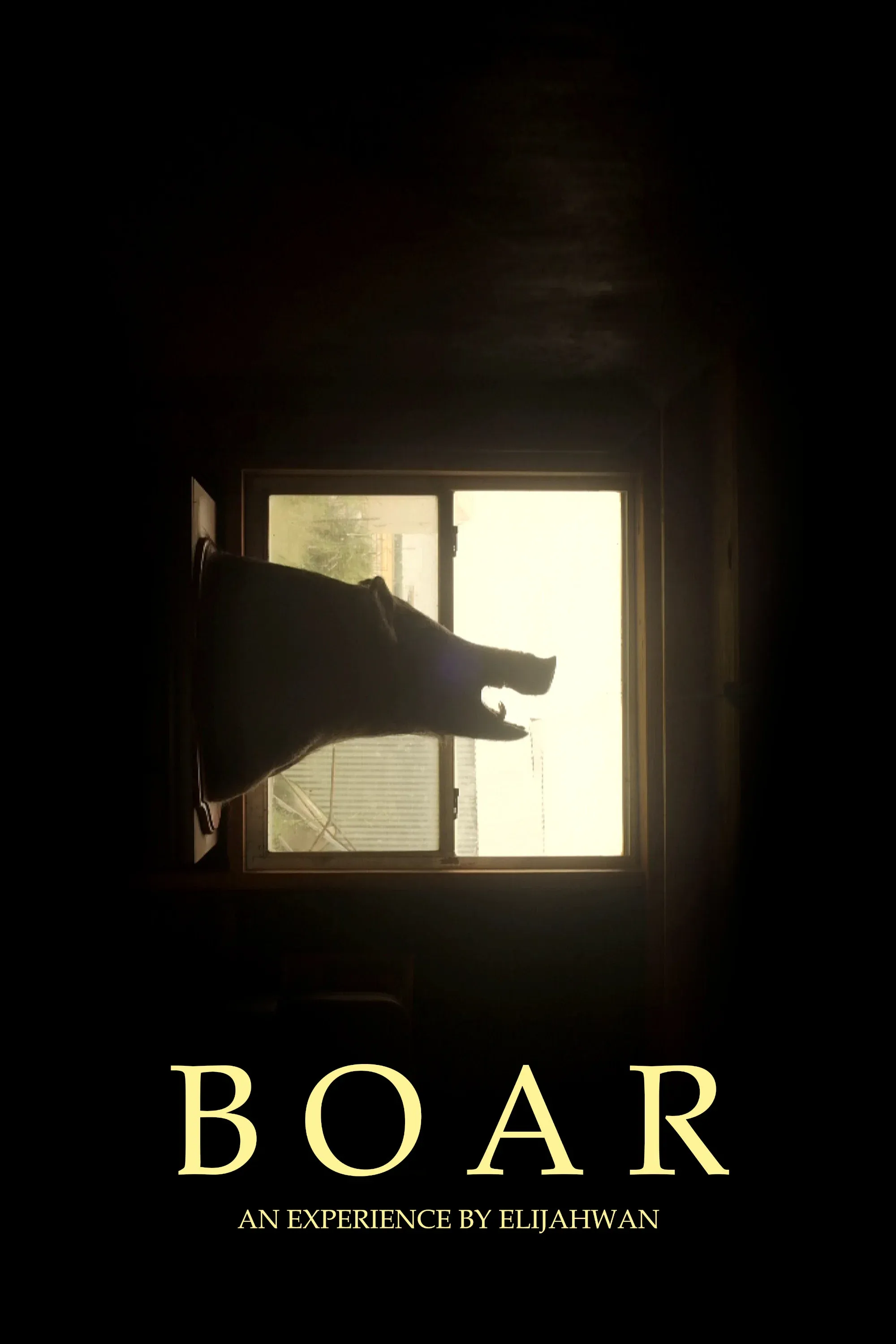 Poster for B O A R