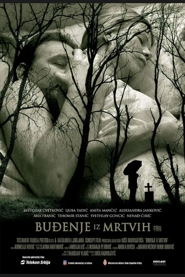 Poster of the movie Awakening from the Dead