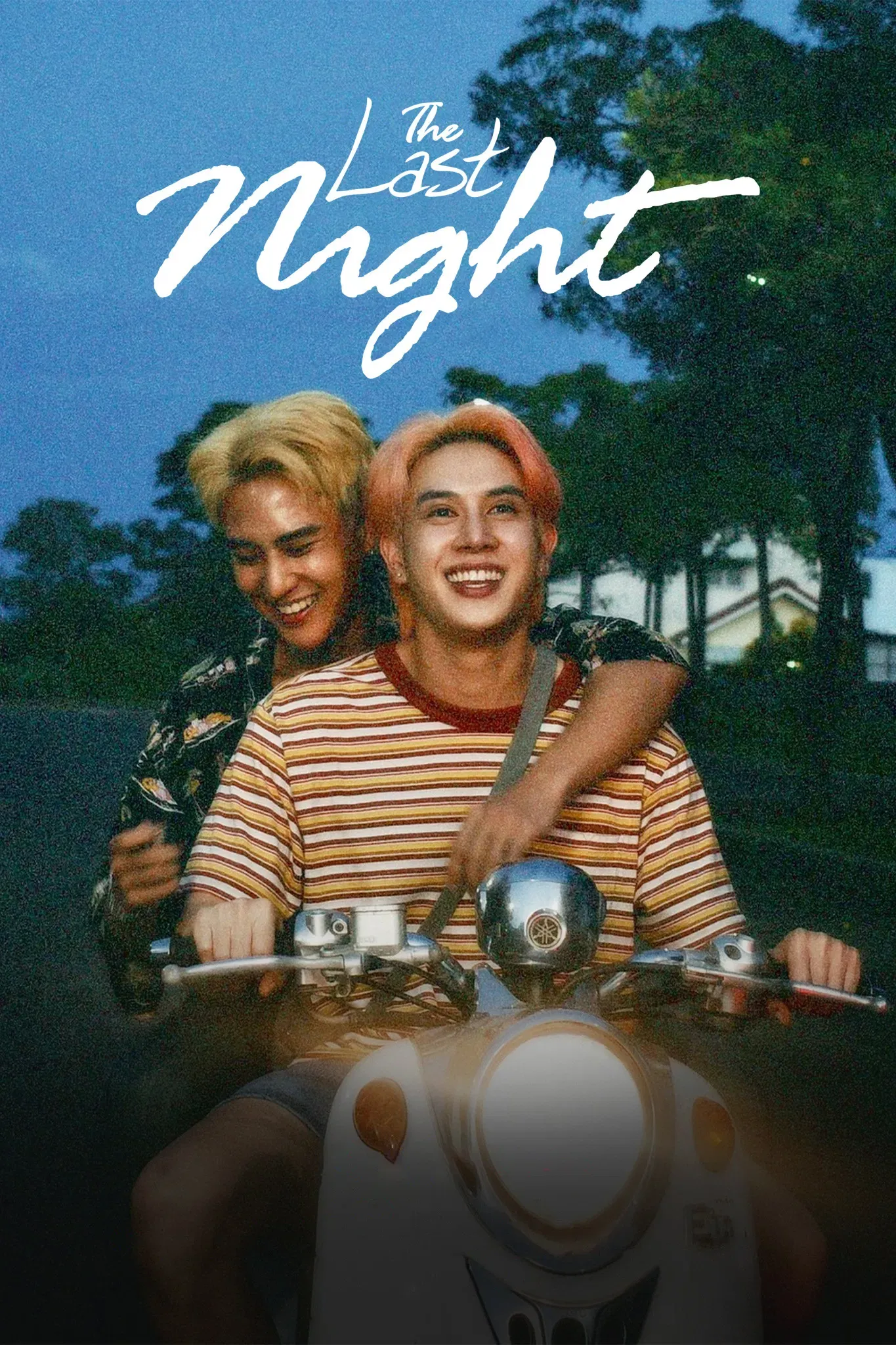 Poster of The Last Night