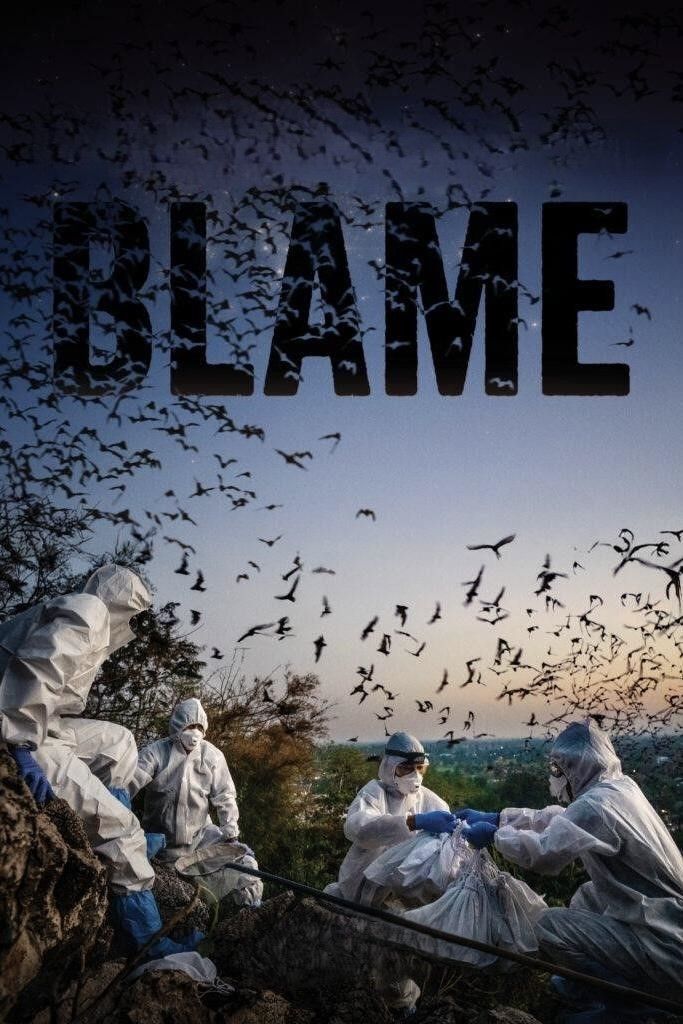 Poster of the movie Blame