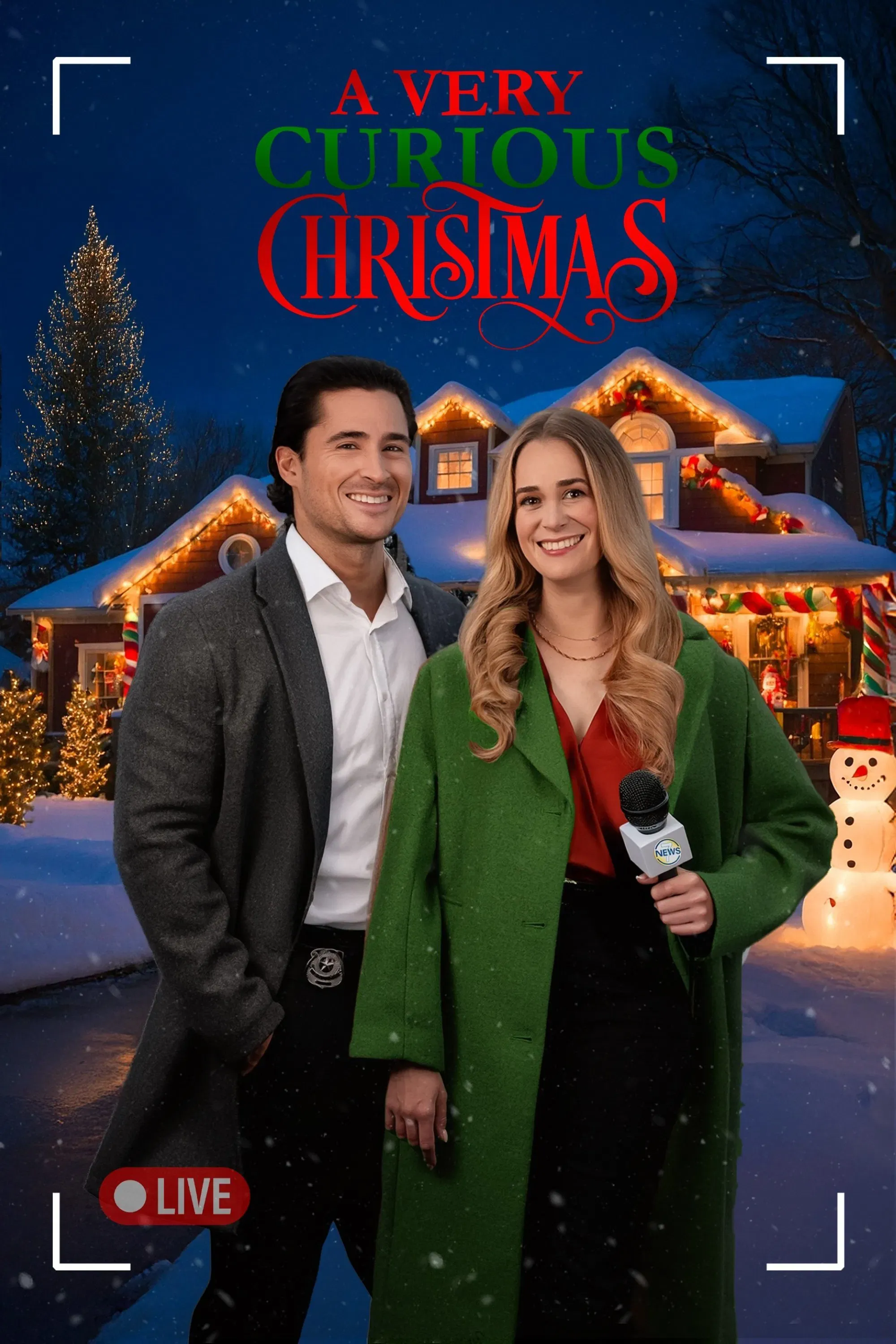 Poster of the movie Merry Mystery Christmas