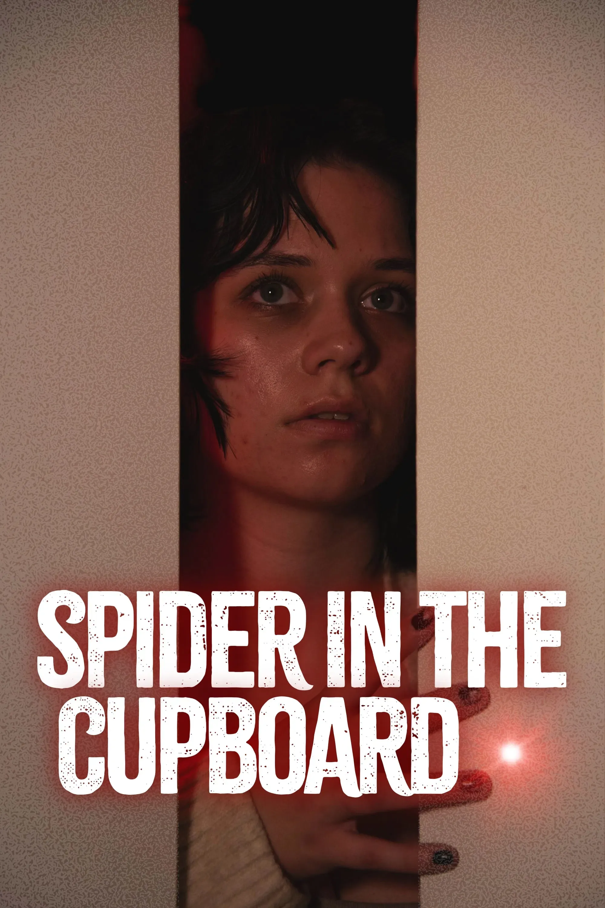 Poster of the movie Spider in the Cupboard