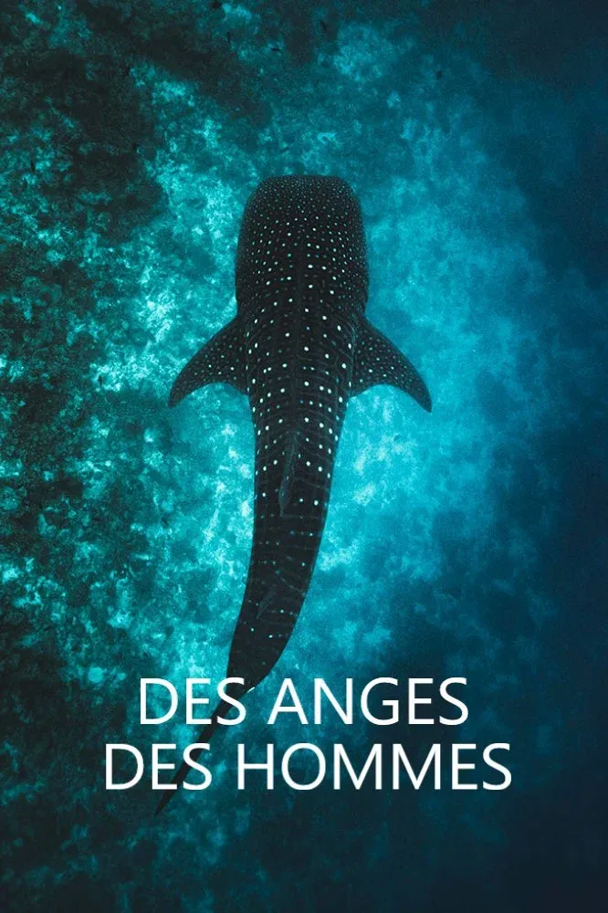 Poster for Des anges des hommes