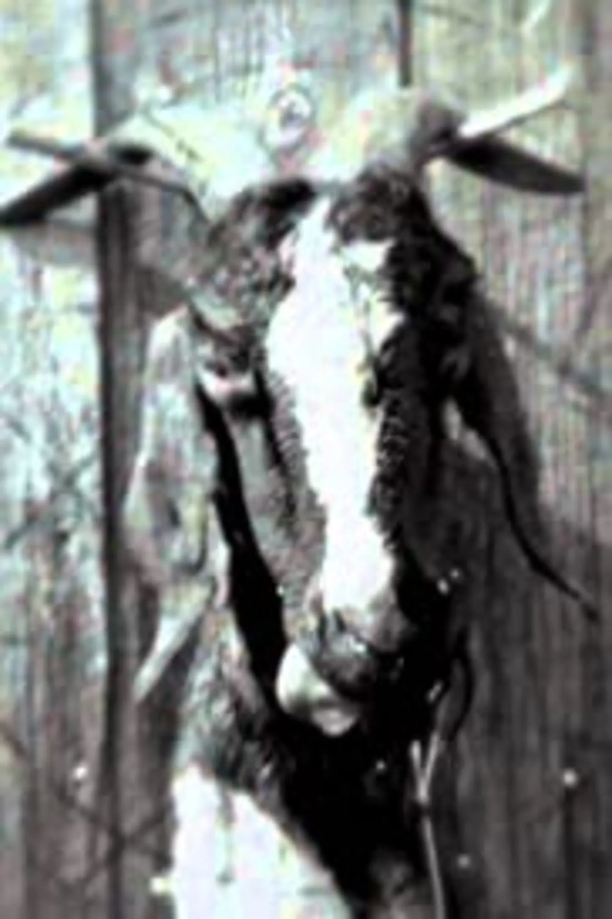 Poster of the movie Slipknot: Goat