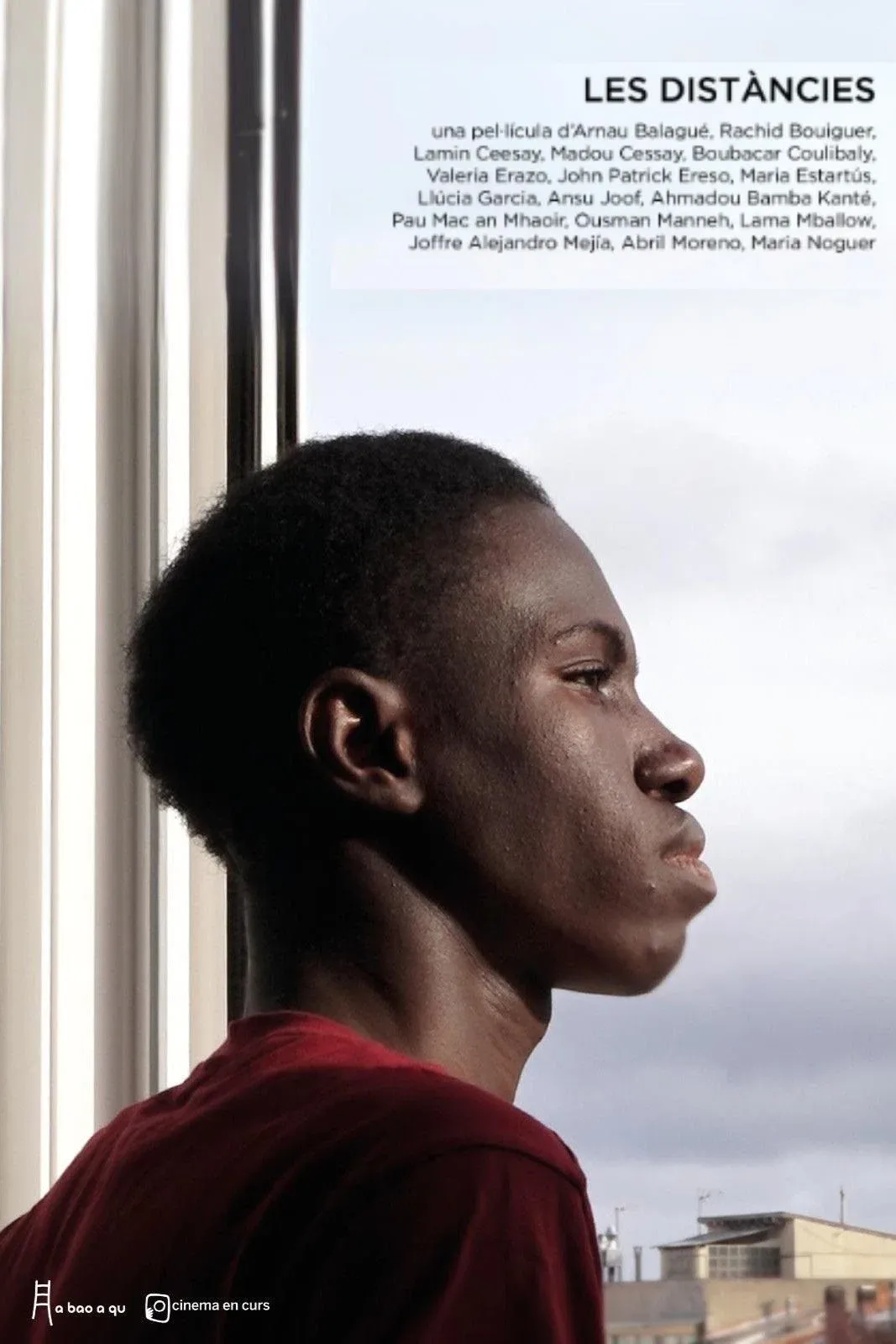 Poster for The distances