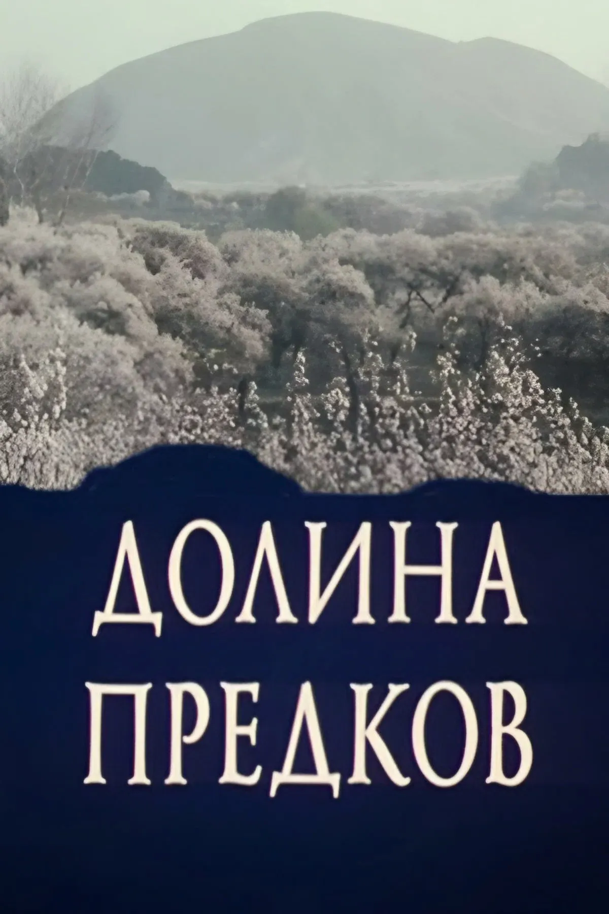 Poster for Valley of the Ancestors