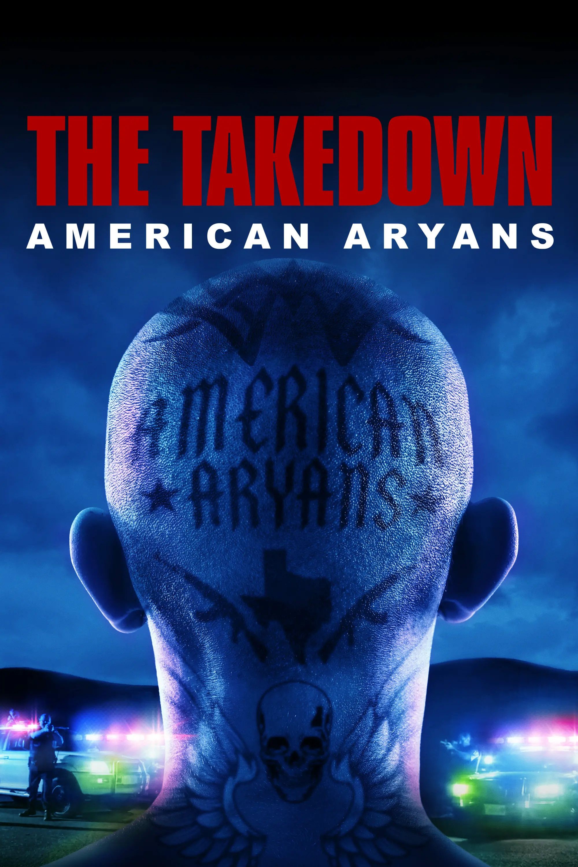 Poster of The Takedown: American Aryans