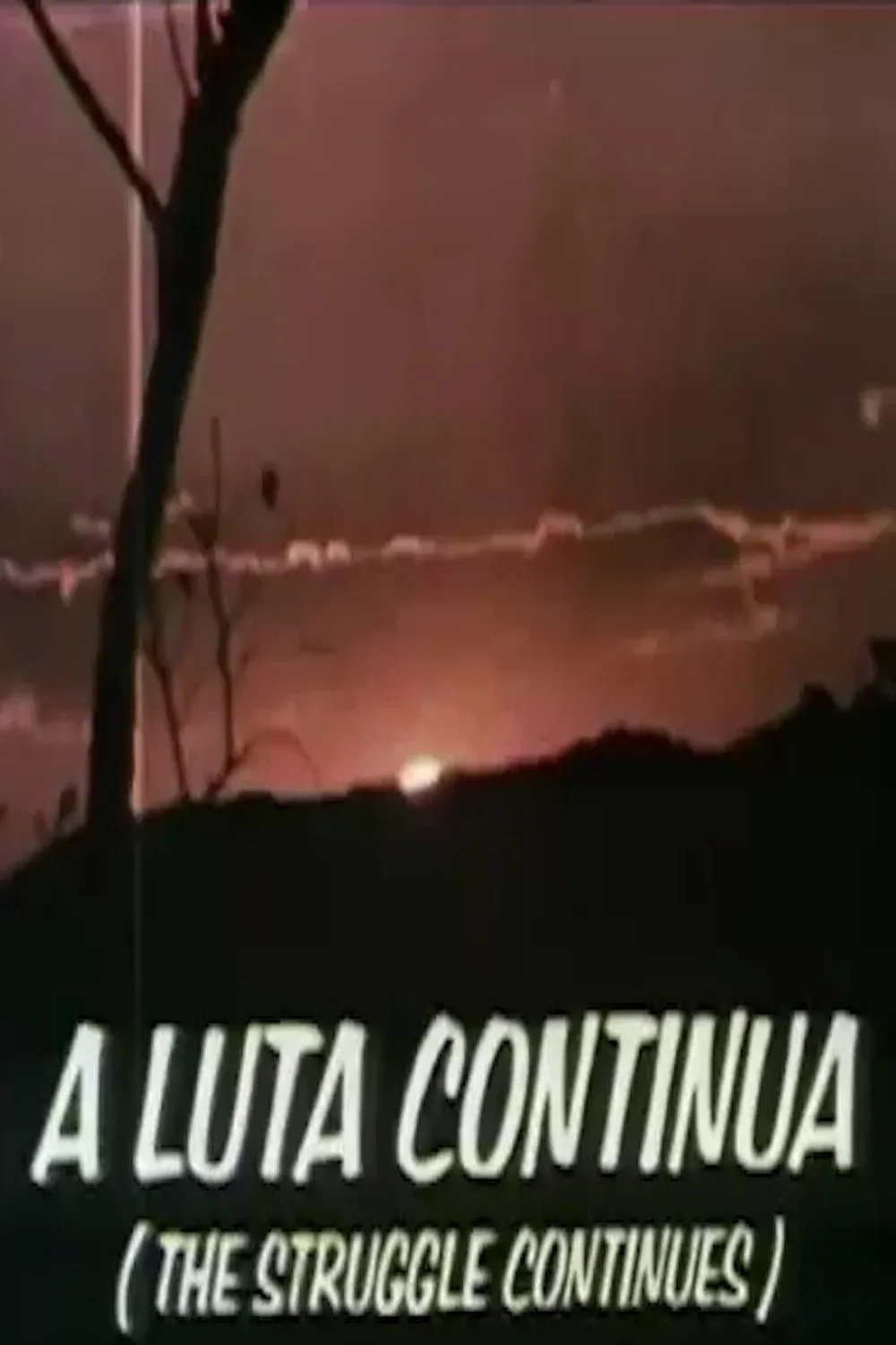 Poster for The Struggle Continues