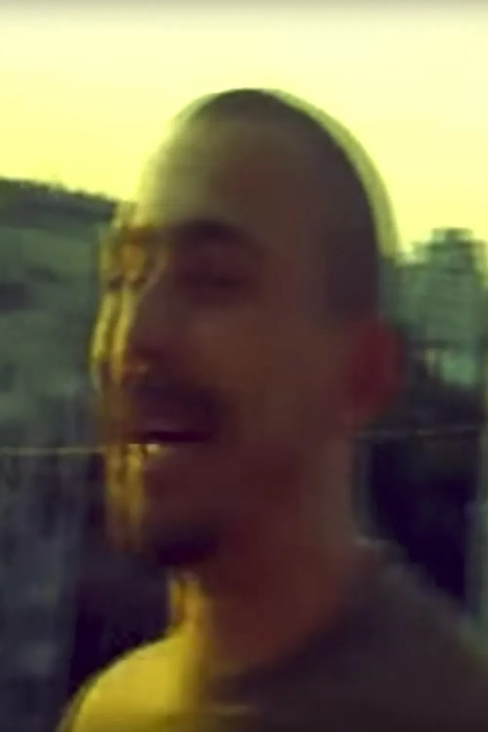 Poster of the movie The Threat of the Monkey