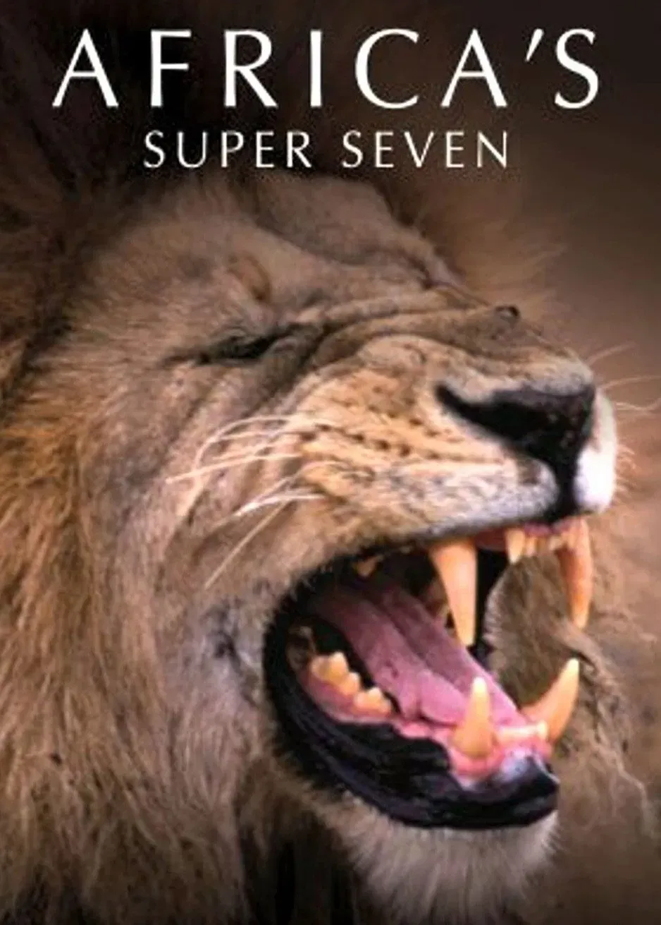 Poster of the movie Africa's Super Seven