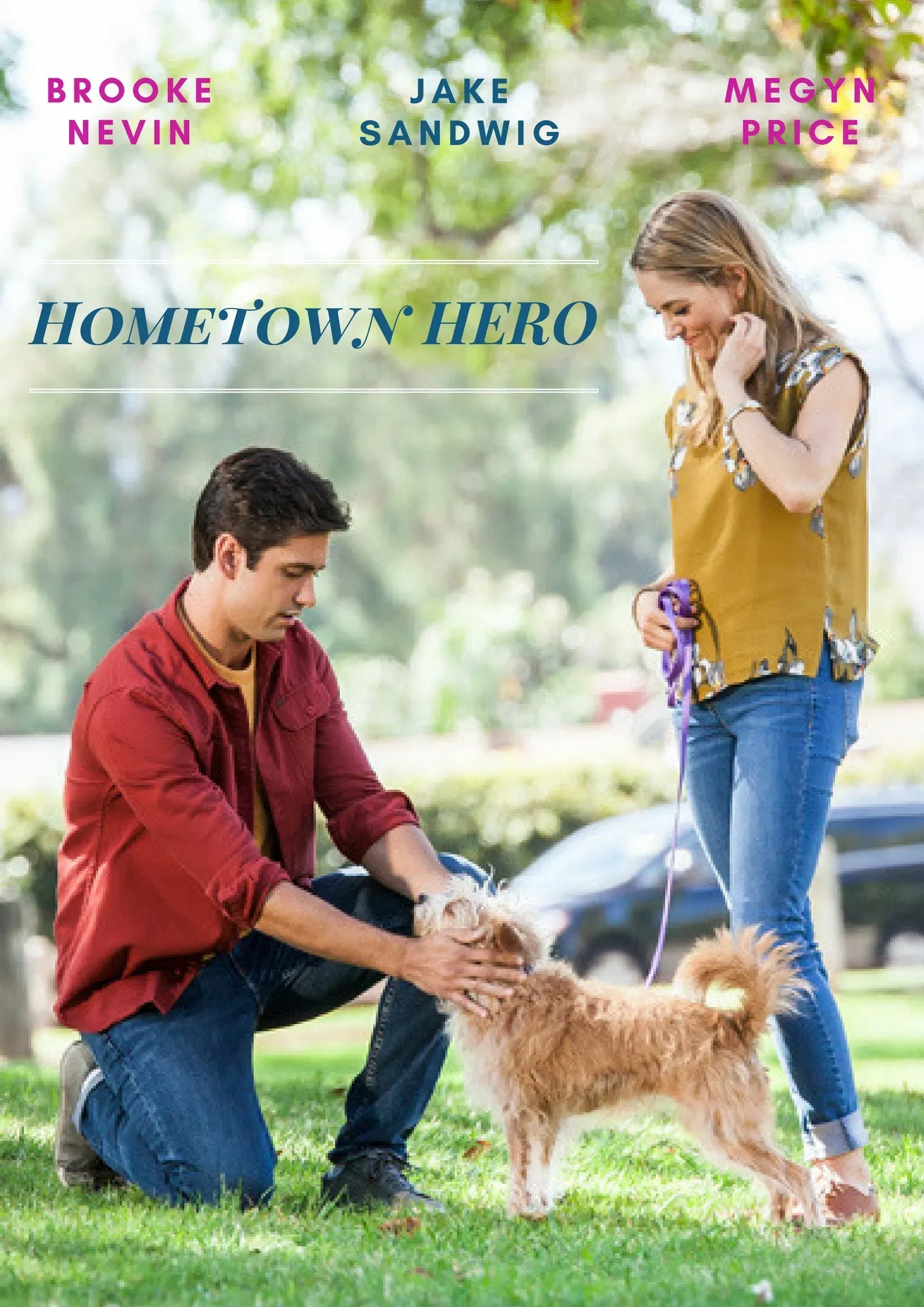 Poster of the movie Hometown Hero