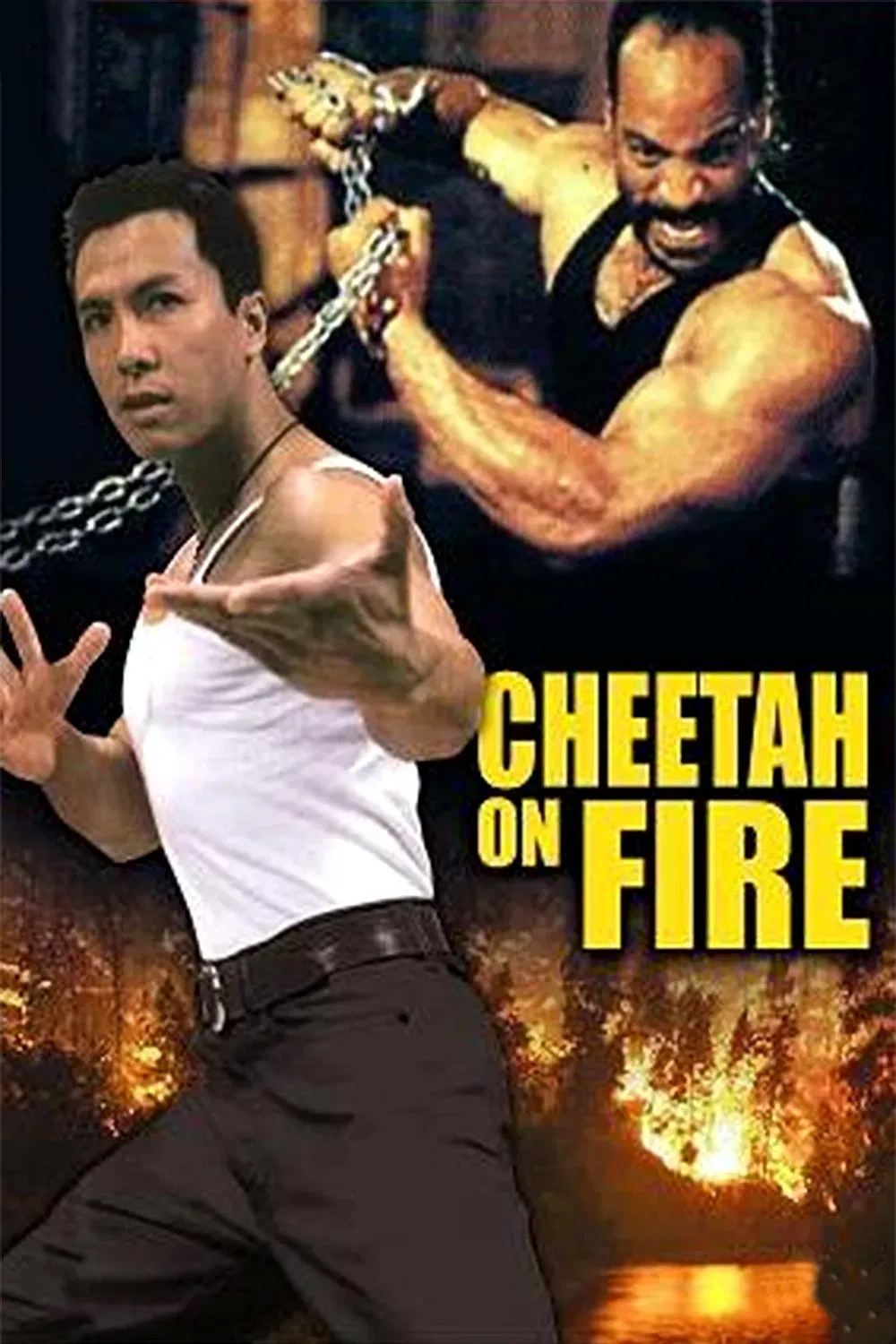 Poster of the movie Cheetah on Fire