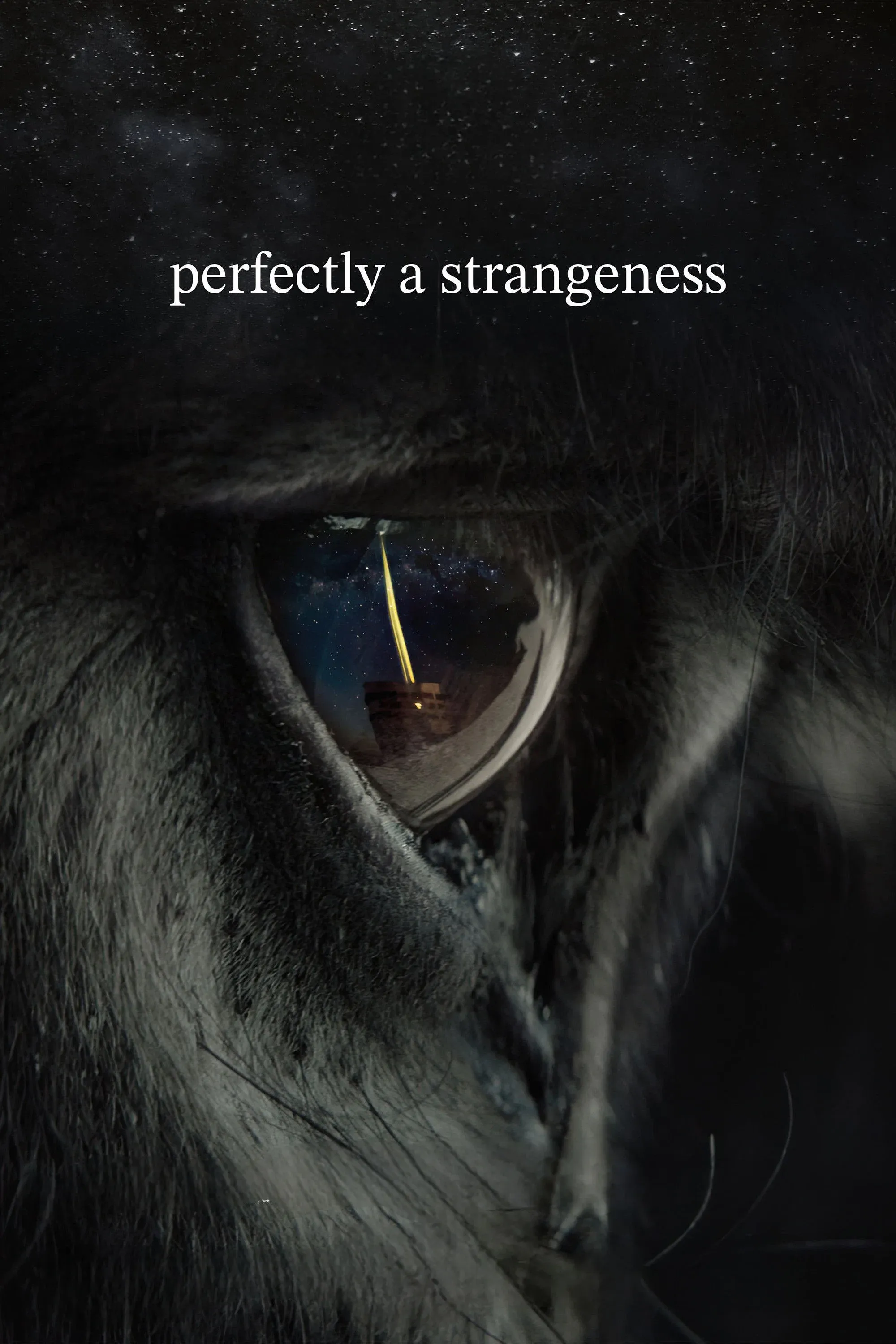 Poster for perfectly a strangeness