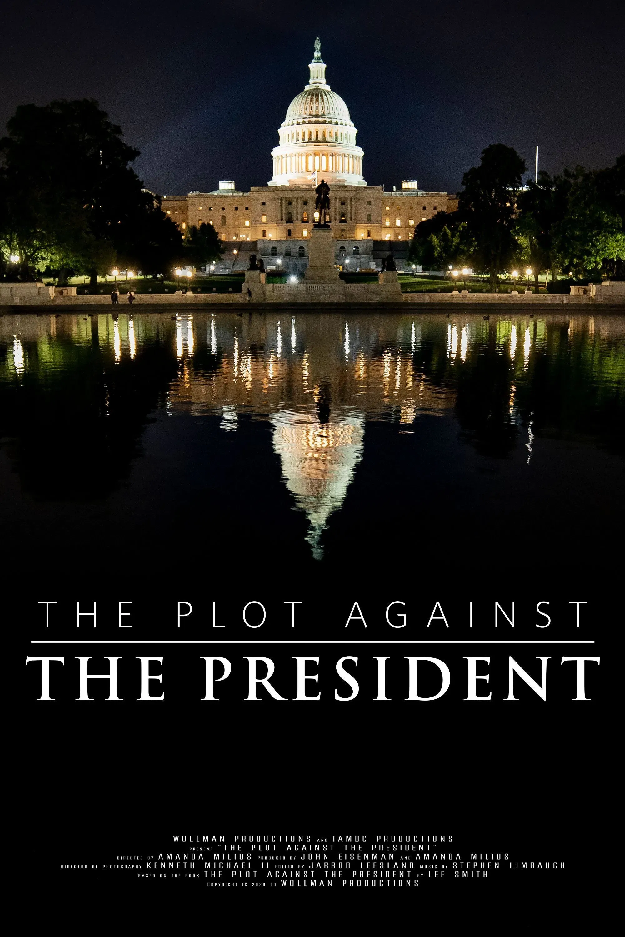 Poster of the movie The Plot Against the President