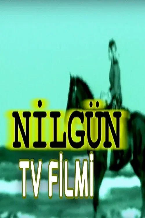 Poster for Nilgün