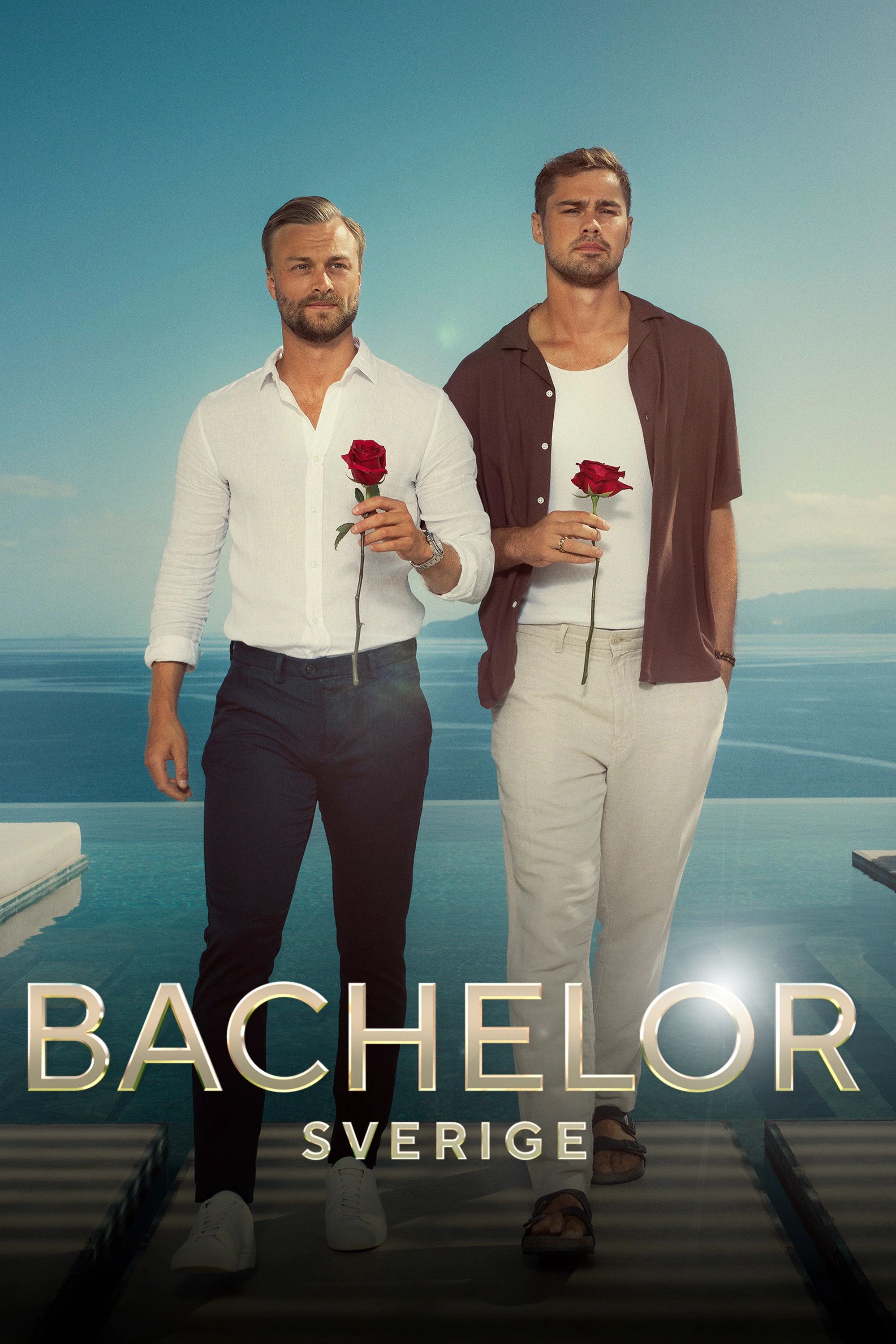 Poster of Bachelor Sweden