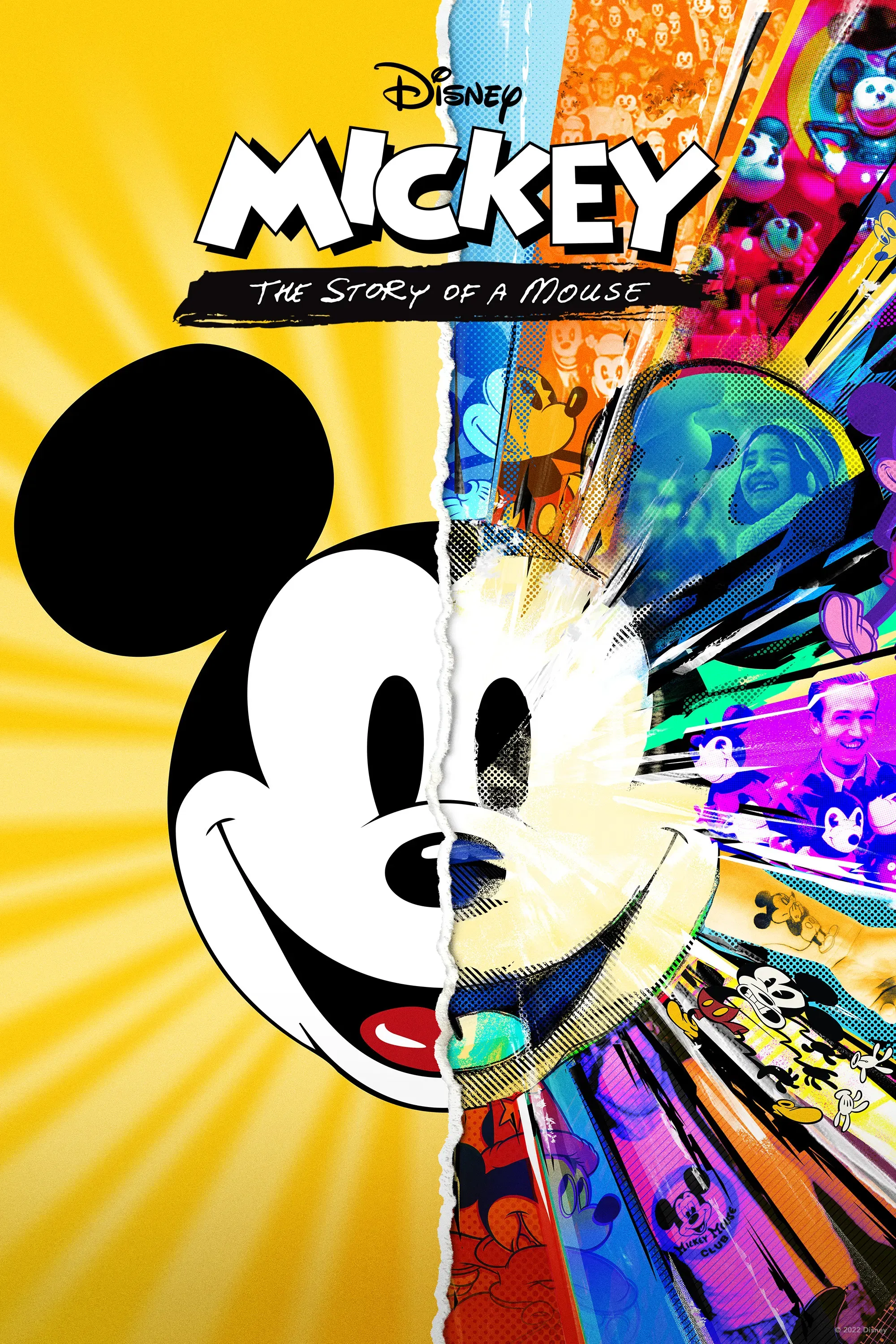 Poster of the movie Mickey: The Story of a Mouse