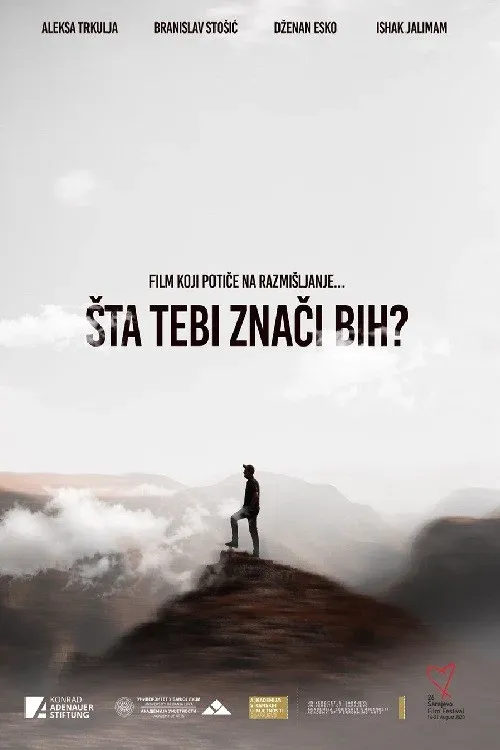 Poster for What Does Bosnia Mean to You?