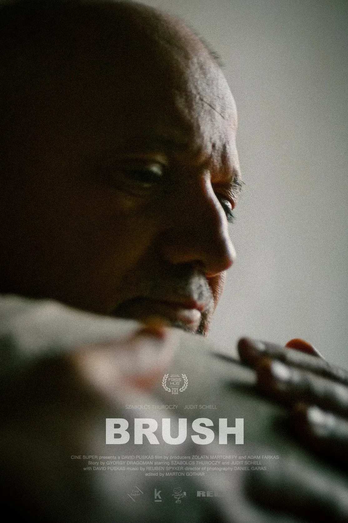 Poster for Brush