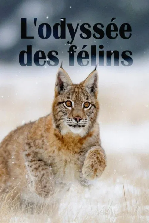 Poster for The Odyssey Of Felines