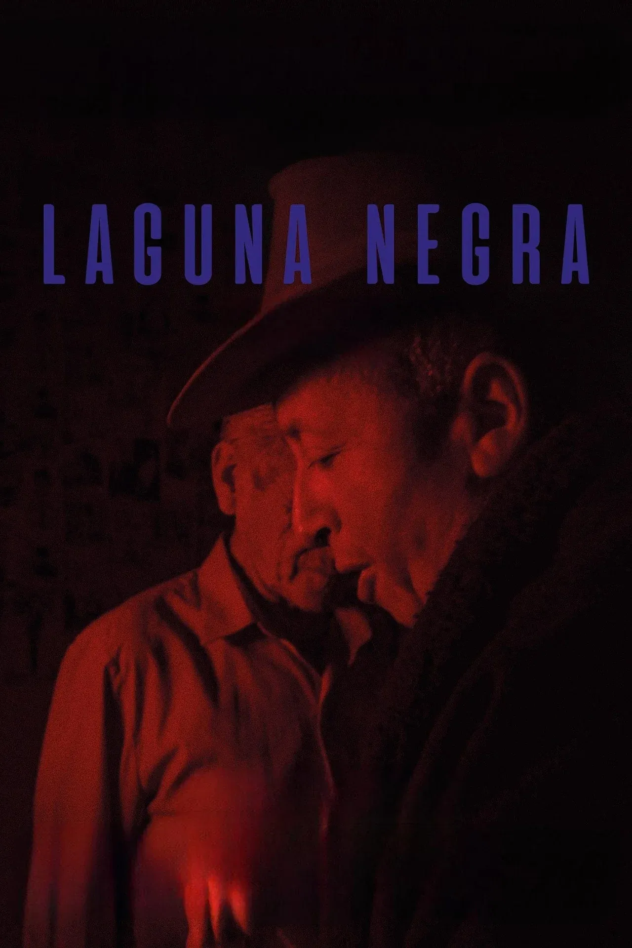 Poster for Laguna negra
