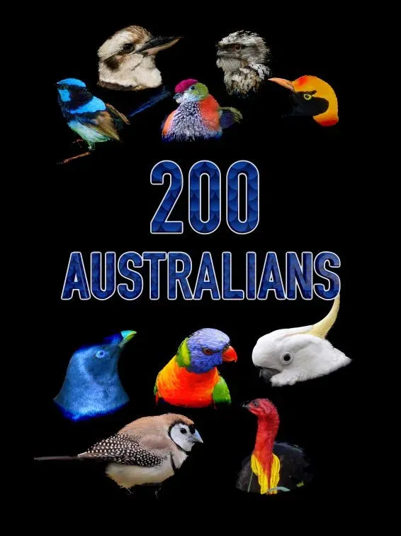 Poster of the movie 200 Australians