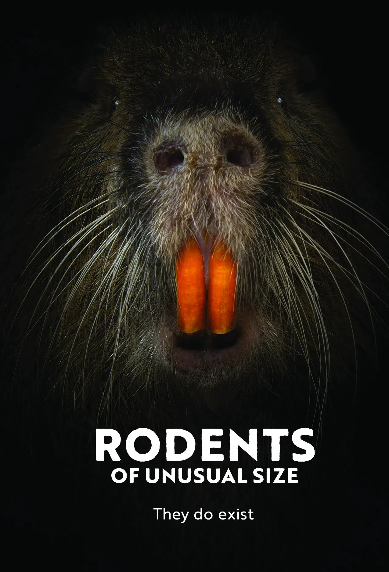 Poster of the movie Rodents of Unusual Size