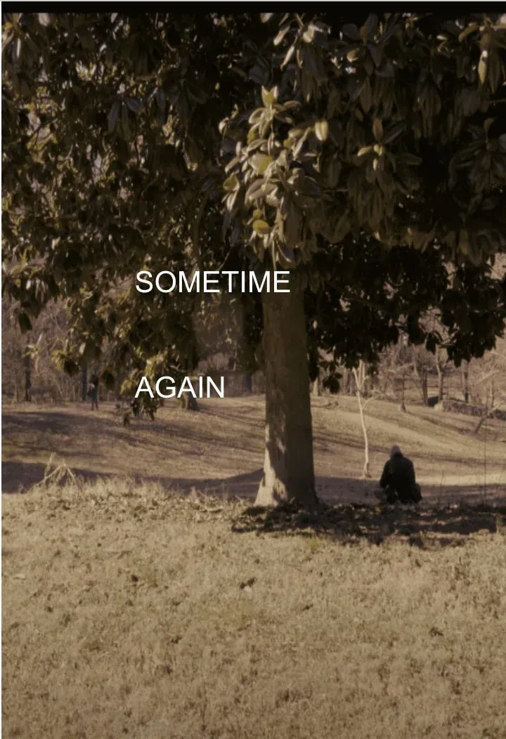 Poster for Sometime Again