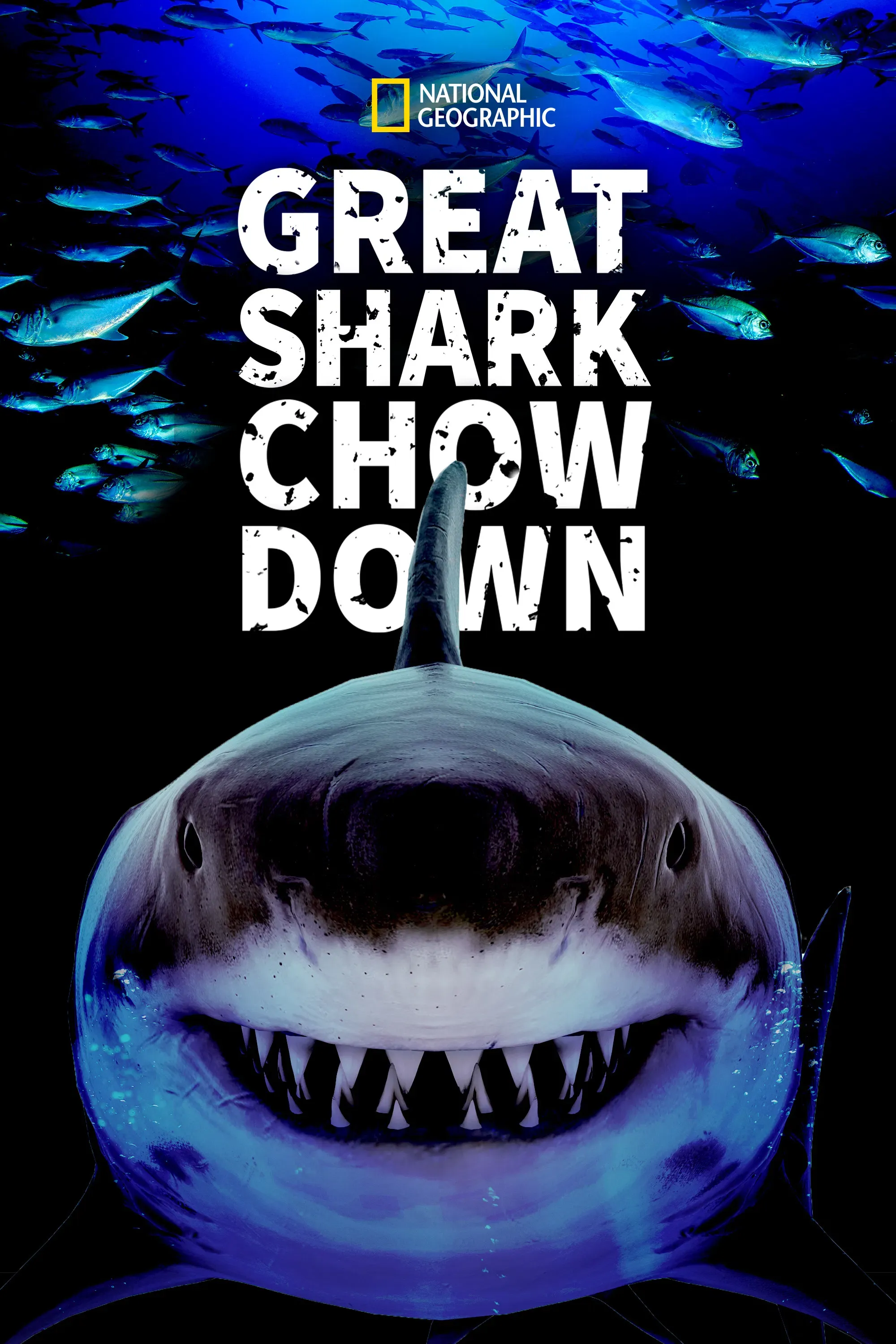 Poster of the movie Great Shark Chow Down