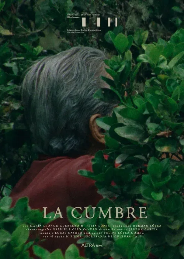 Poster for La Cumbre
