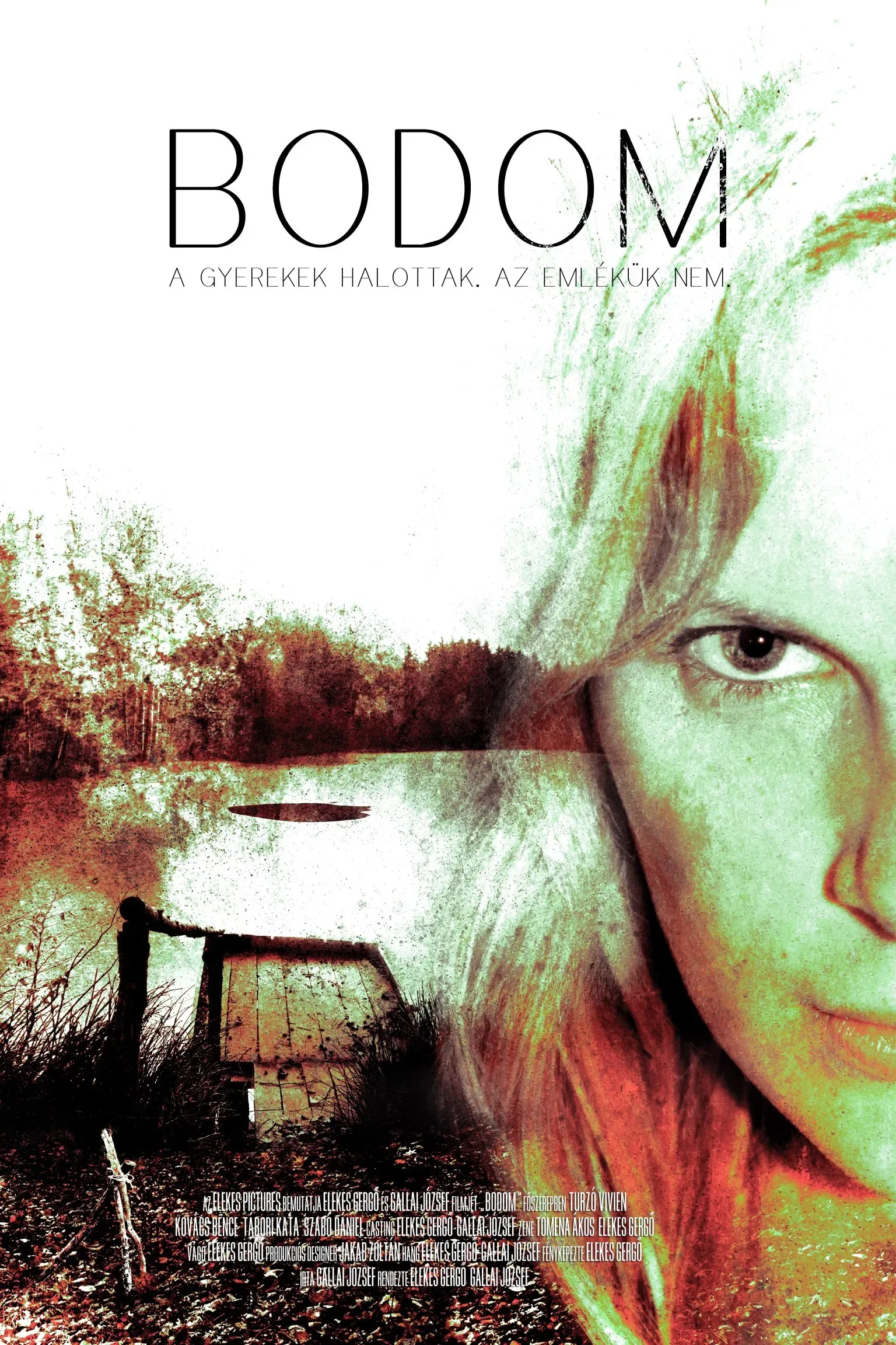 Poster of the movie Bodom
