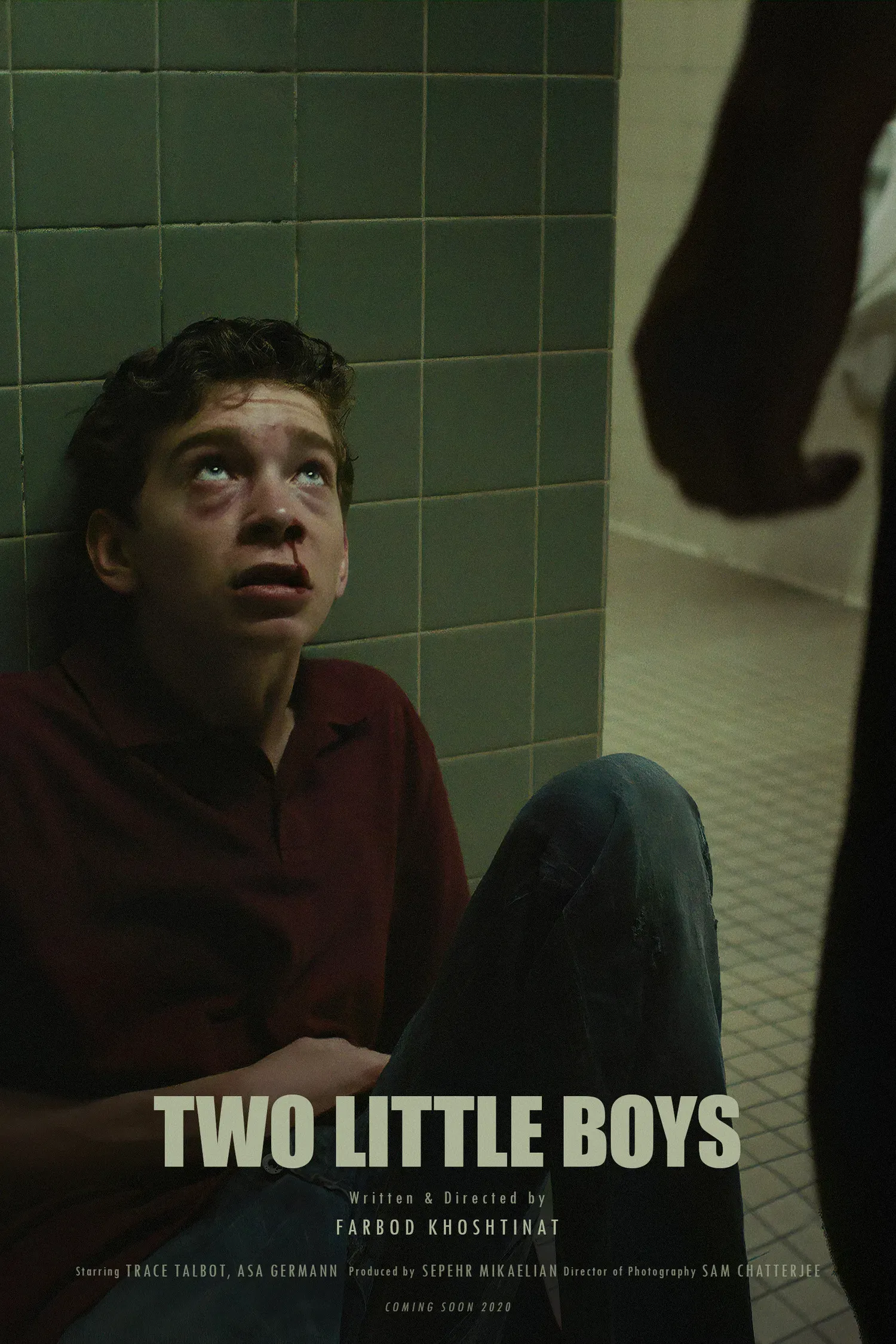 Poster of the movie Two Little Boys