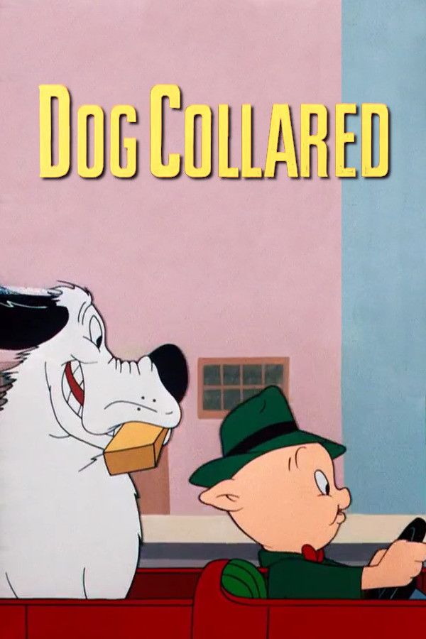 Poster of the movie Dog Collared