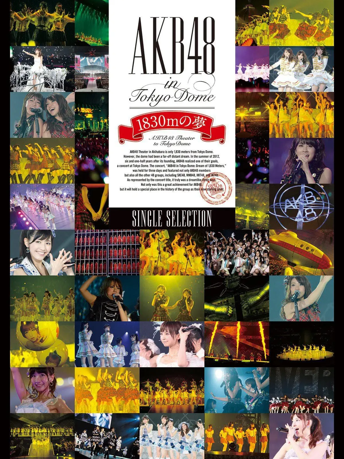 Poster of the movie AKB48 in TOKYO DOME ~1830m no Yume~