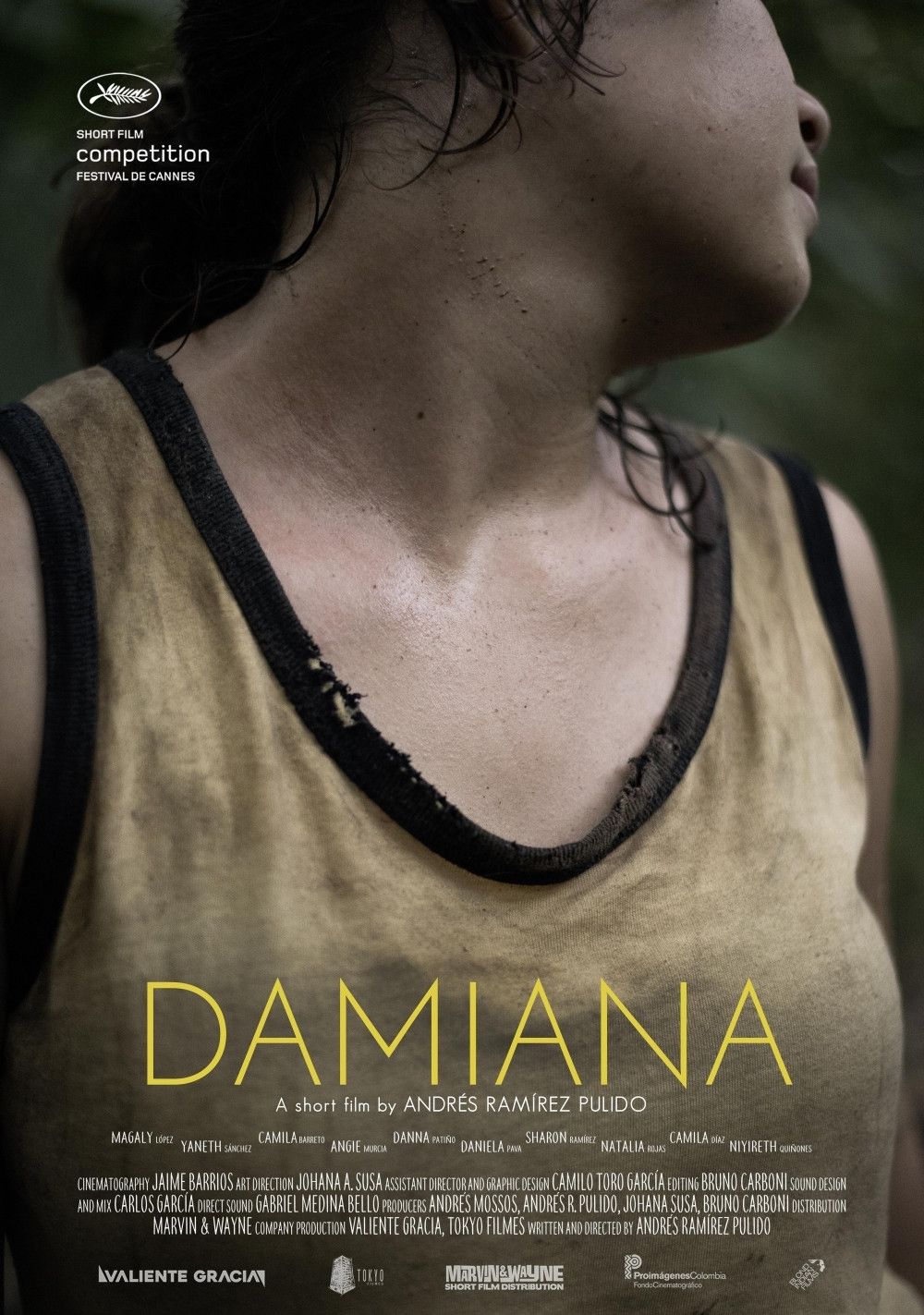 Poster of the movie Damiana