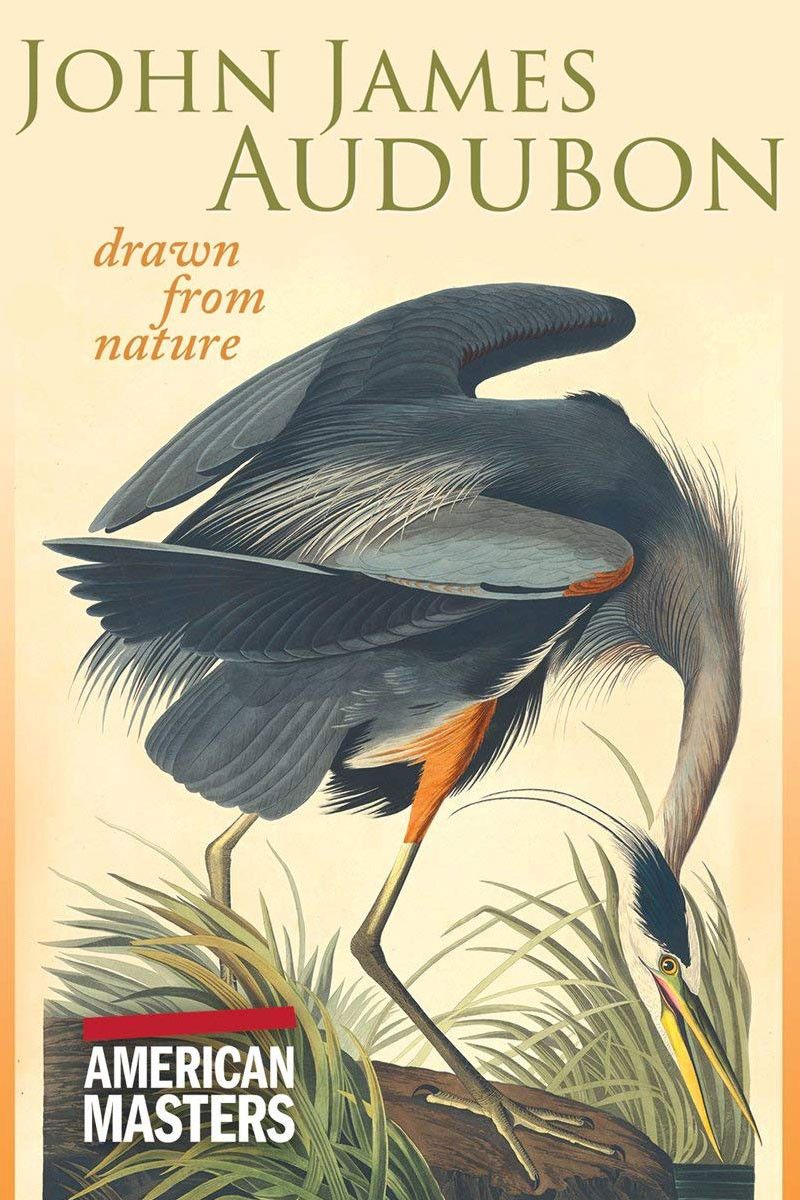 Poster of the movie John James Audubon: Drawn From Nature