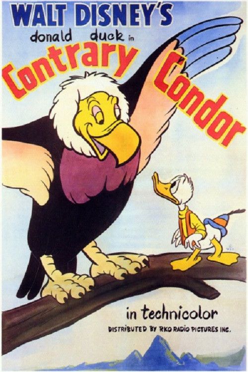 Poster of the movie Contrary Condor