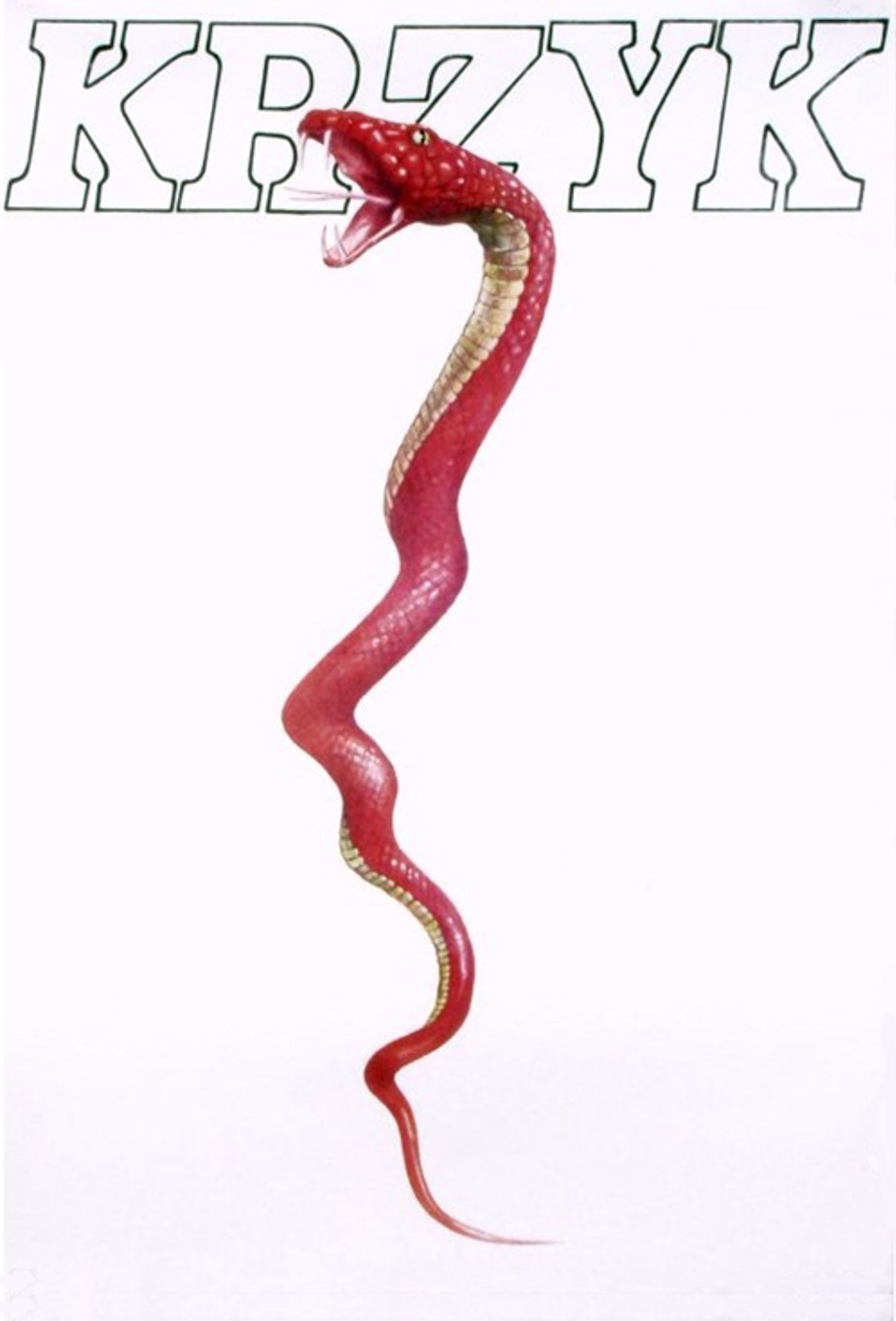 Poster of the movie The Scream