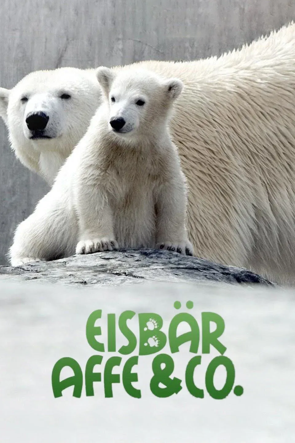Poster of Eisbär, Affe & Co.