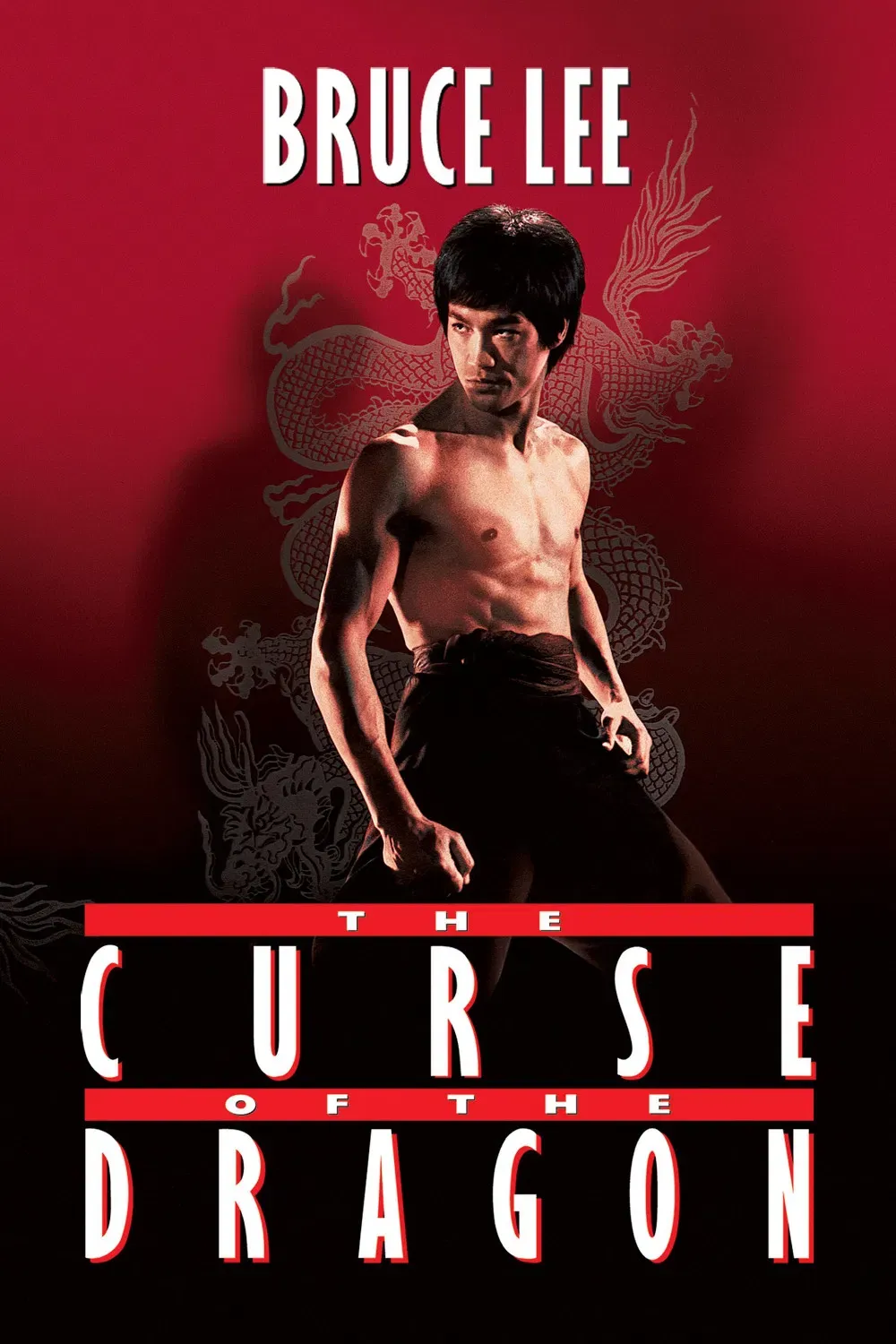 Poster of the movie The Curse of the Dragon