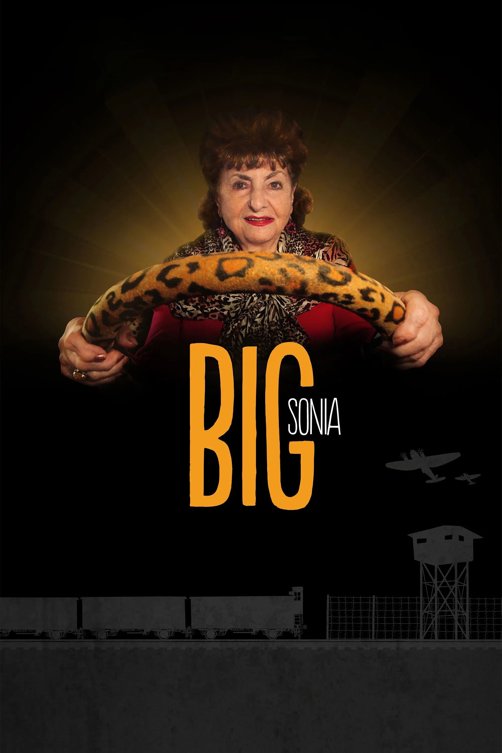 Poster of the movie Big Sonia