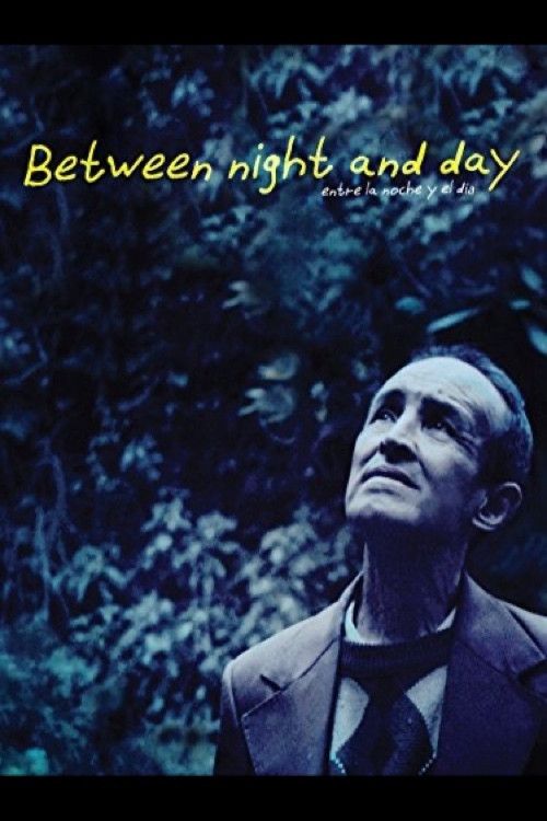 Poster of the movie Between Night and Day