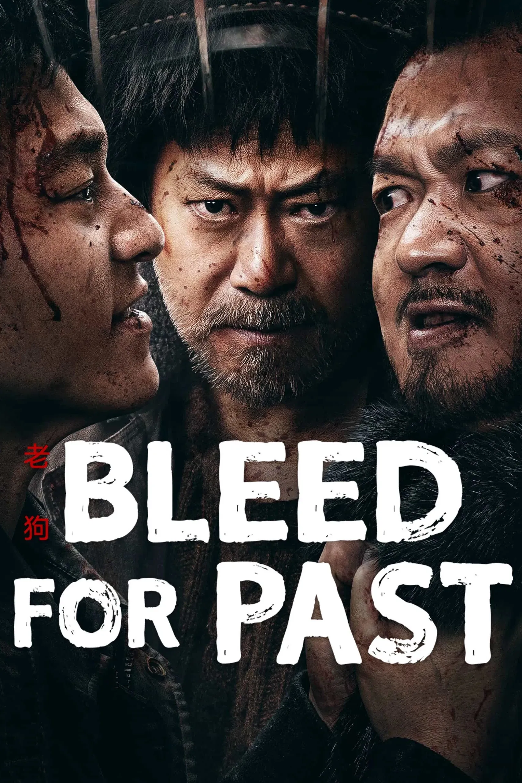 Poster of the movie Bleed for Past
